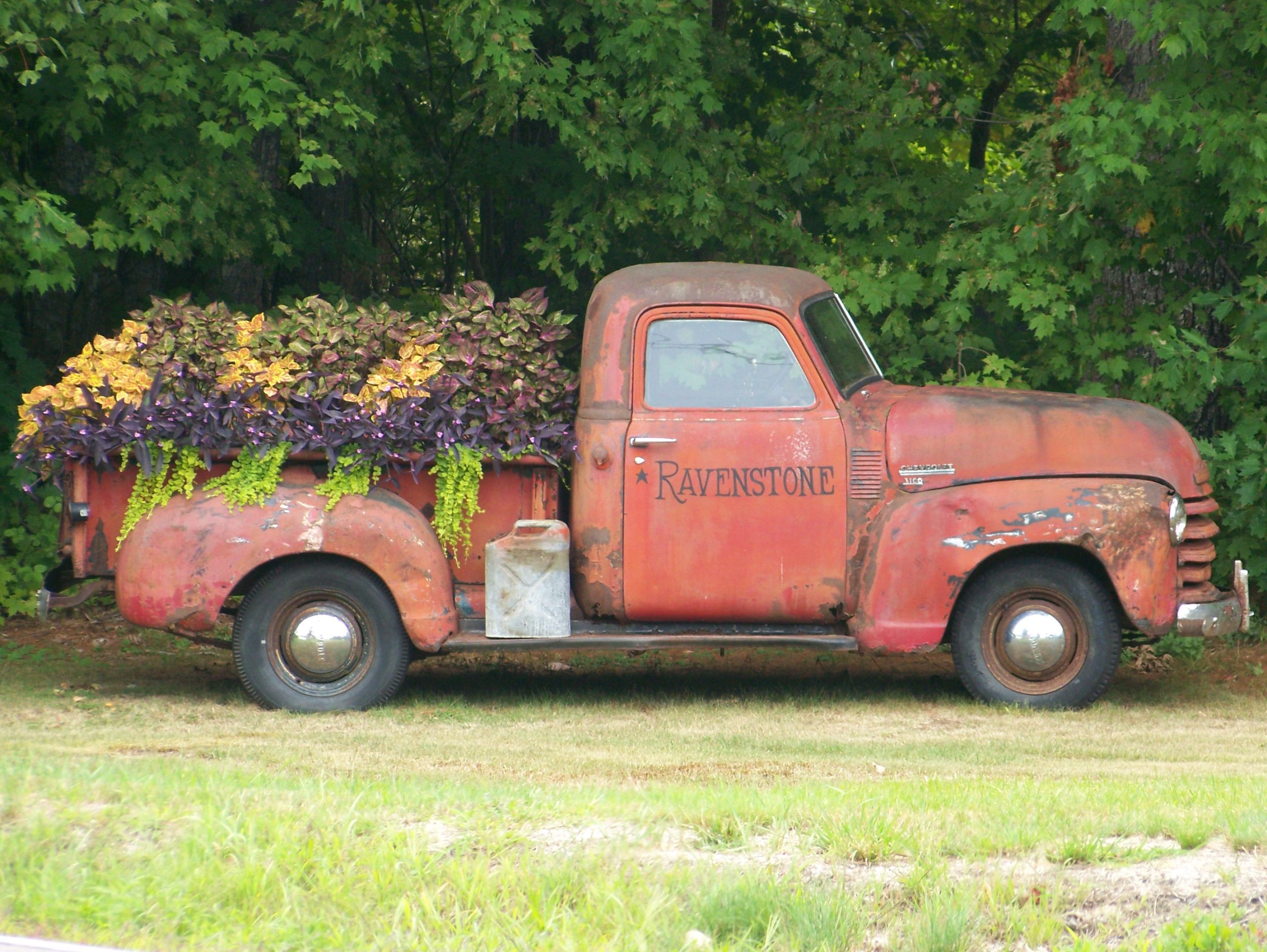 Antique Truck With Flower Filled Bed (user submitted)