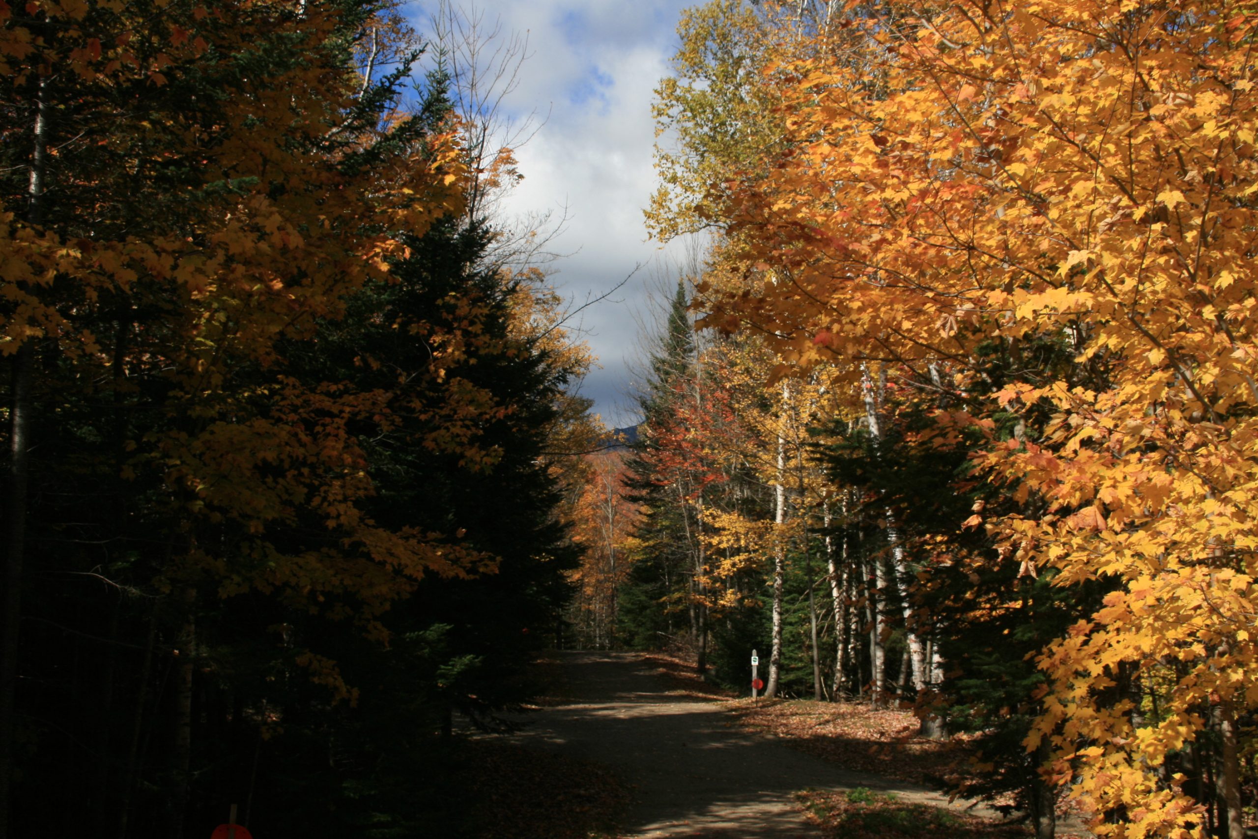 Hiking Trail At Mt. Washington Auto Road (user submitted)