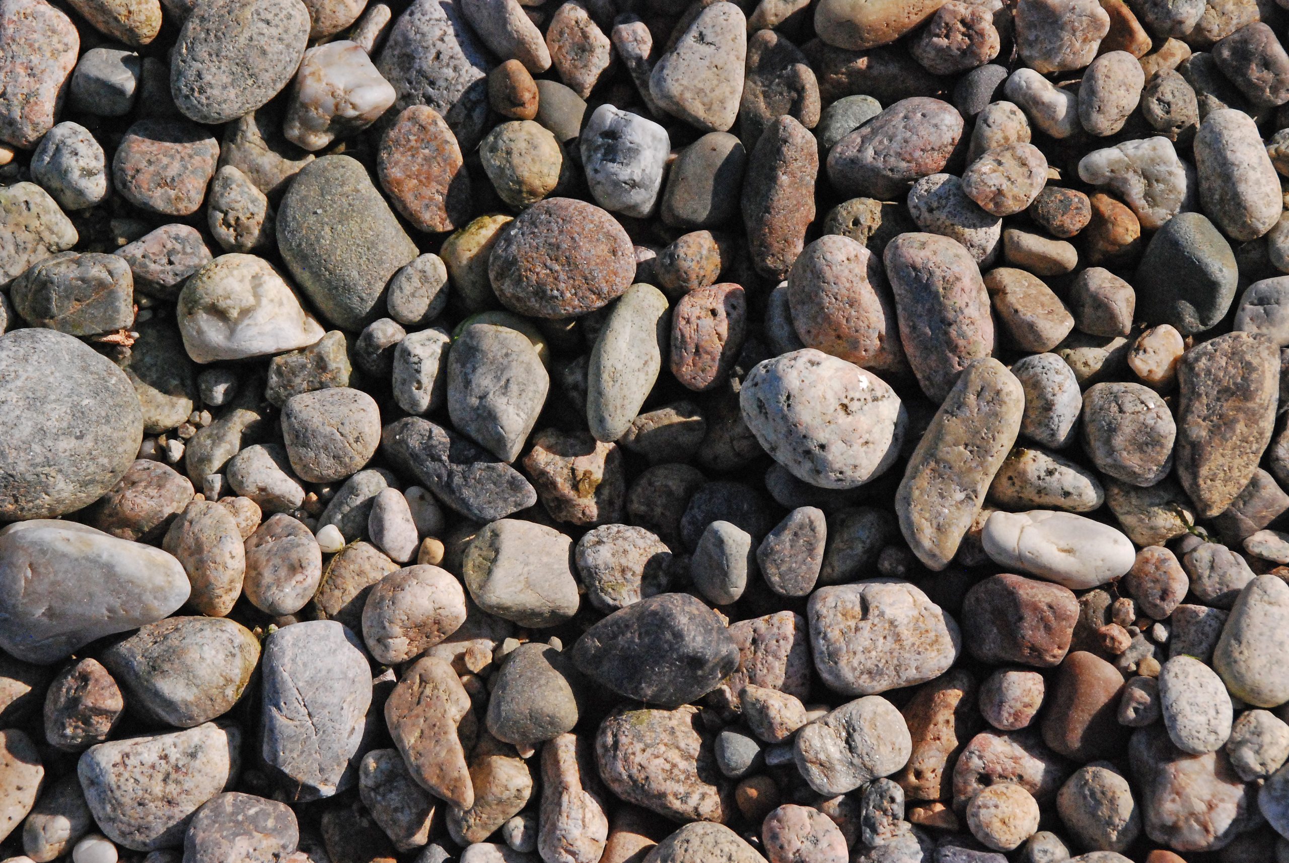 Rocks At The Beach (user submitted)