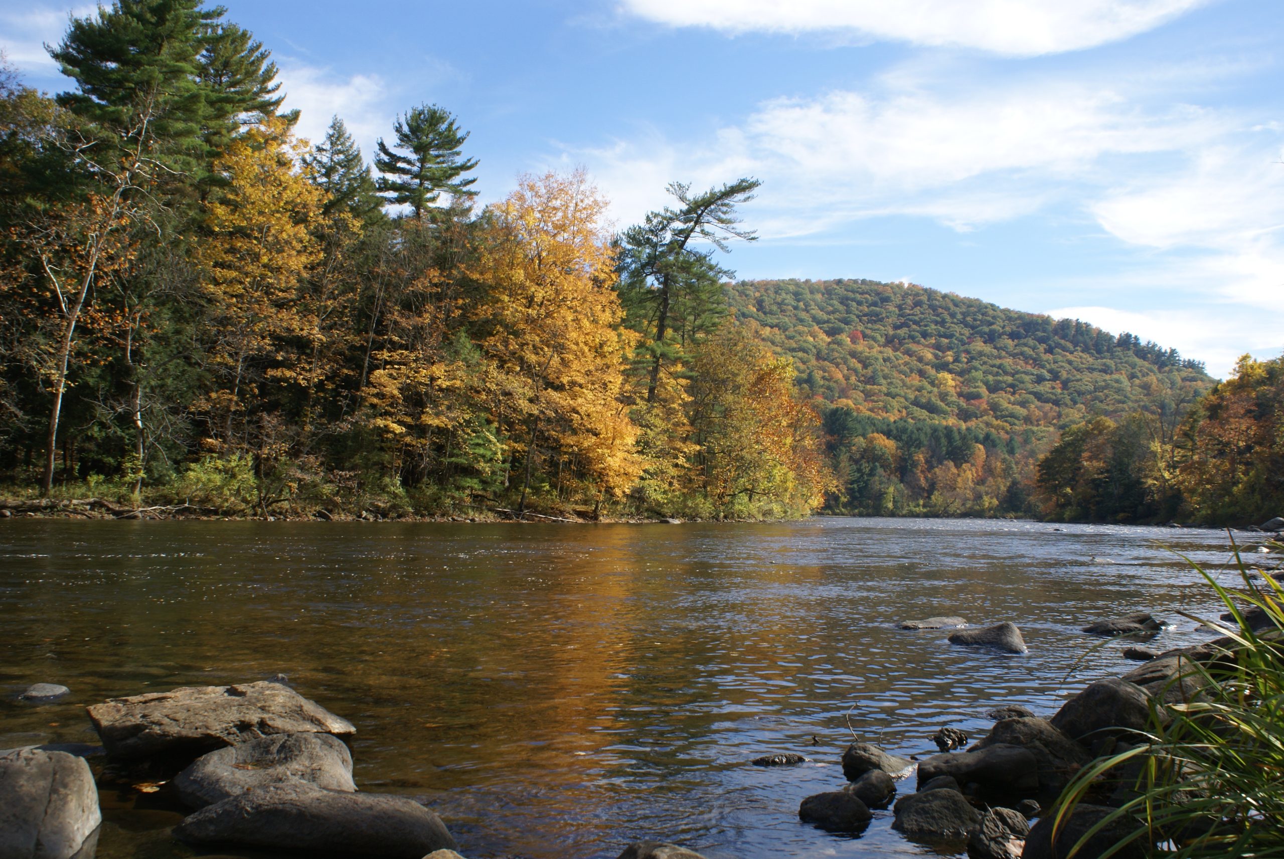 A Good Place To Fish At Fall (user submitted)