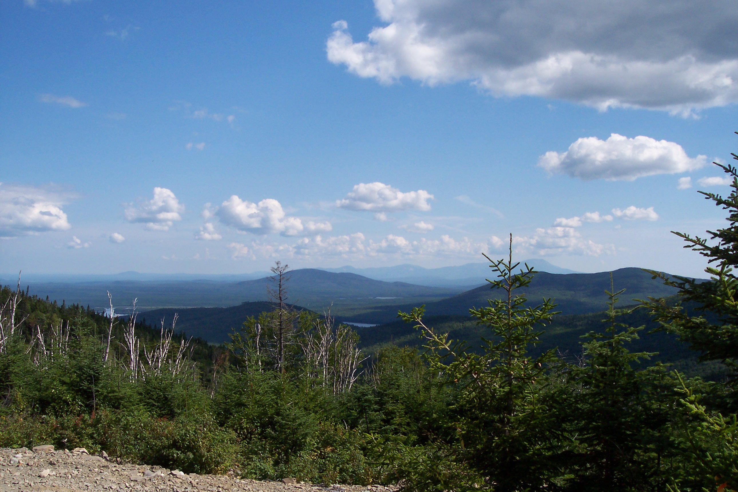 Kokadjo New England Today