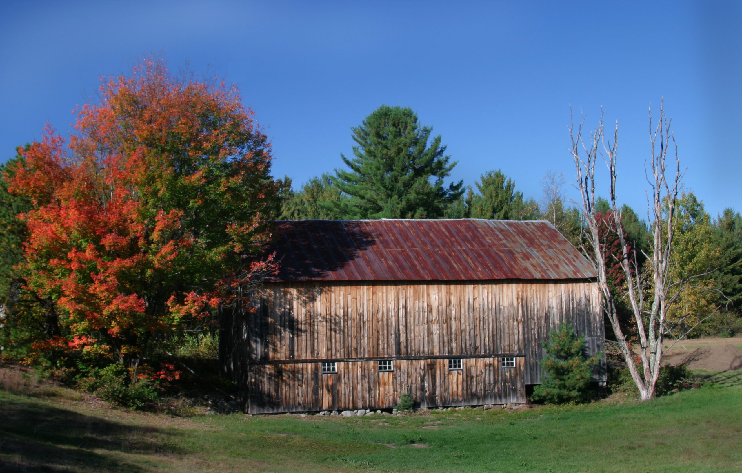 Tree &amp; Barn West Ossippe, Nh (user submitted)