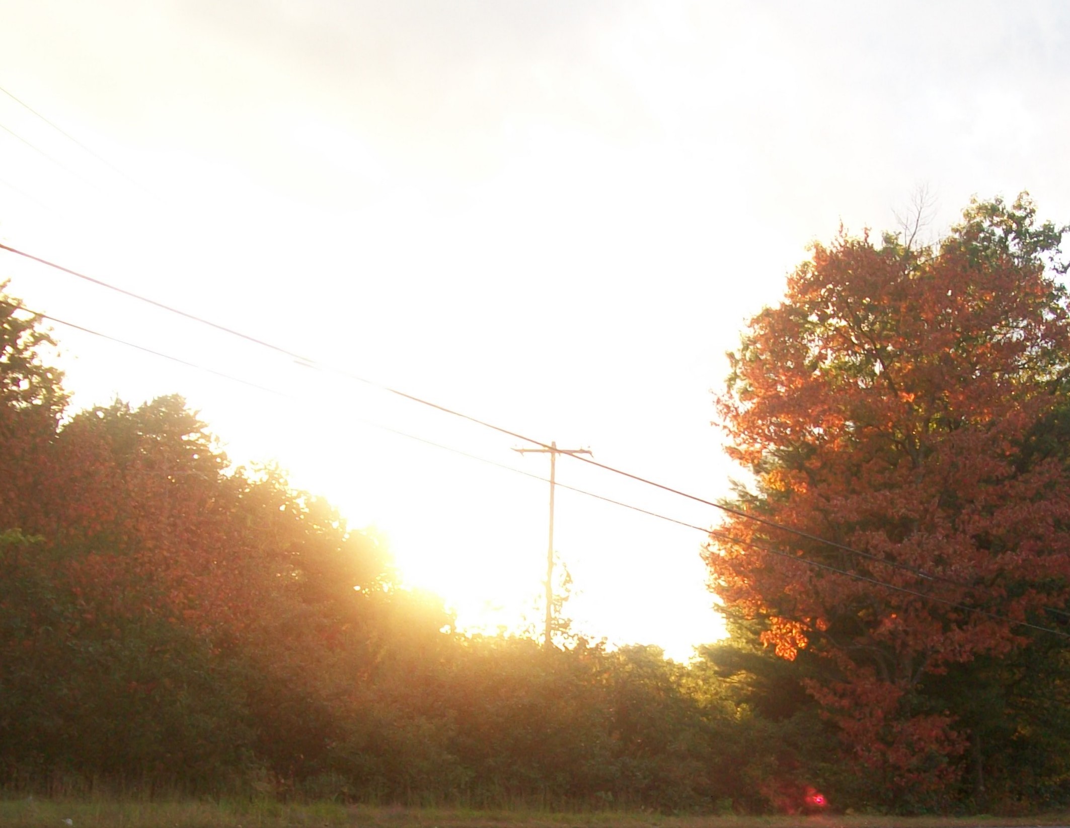Sunny Fall Day (user submitted)