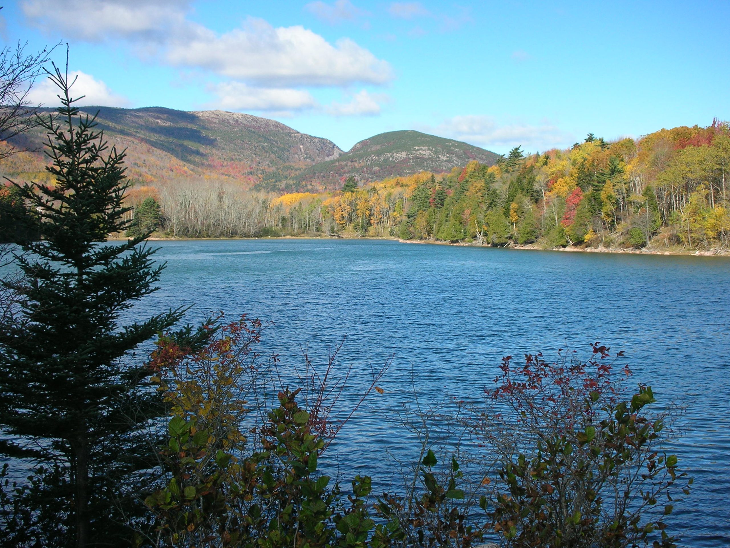 Acadia Autumn (user submitted)