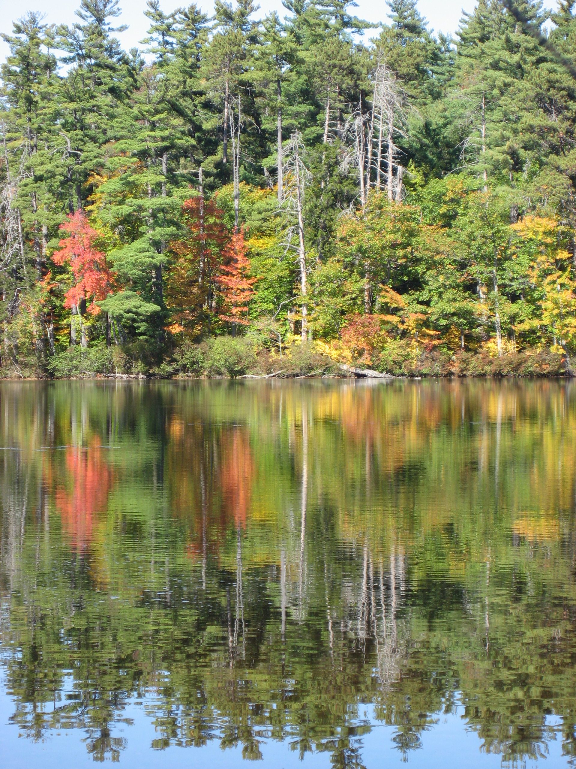 Reflection - New England