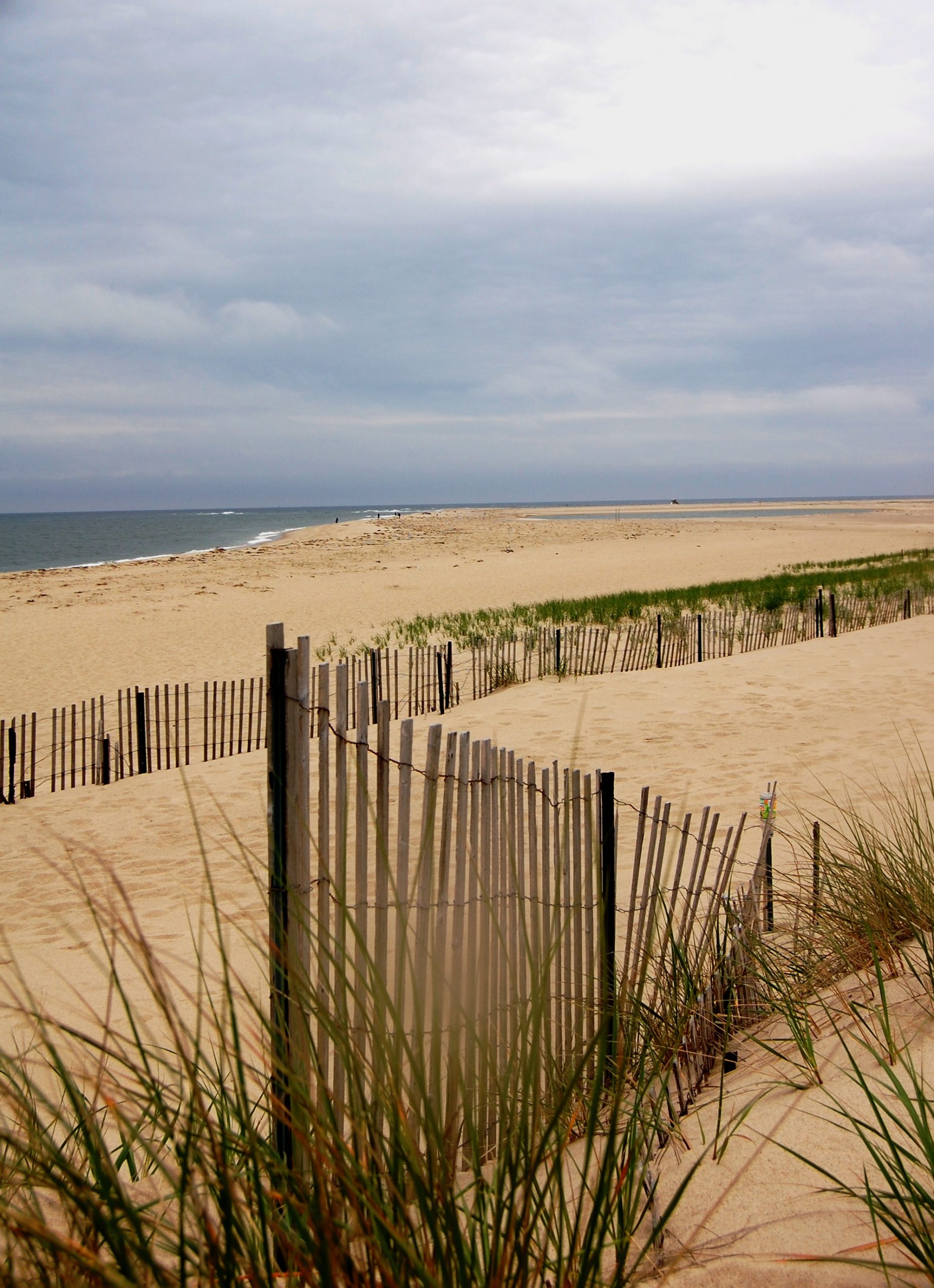 Cape Cod Beach (user submitted)