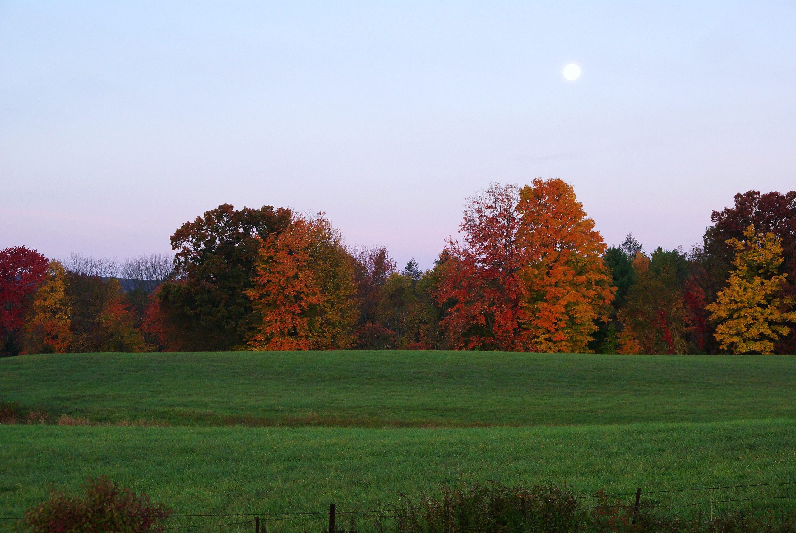 Early Morning Autumn Moon (user submitted)