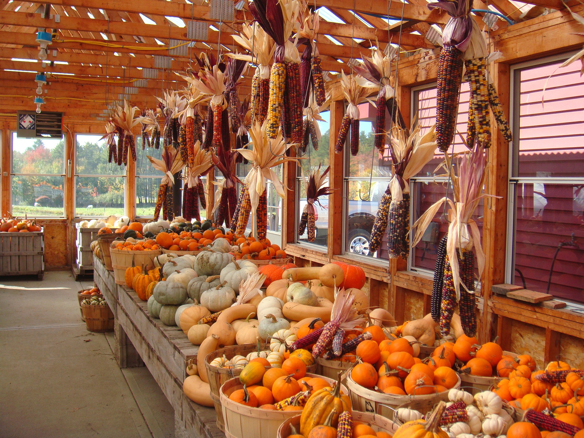 Produce Farm In The Fall (user submitted)