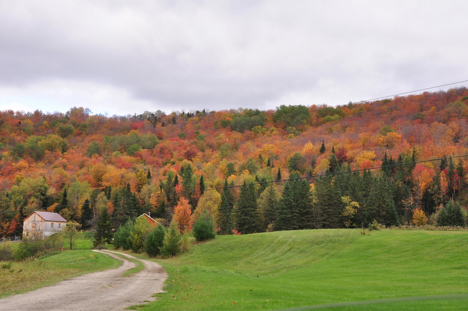 Fall  2010, Nek, Vermont (user submitted)