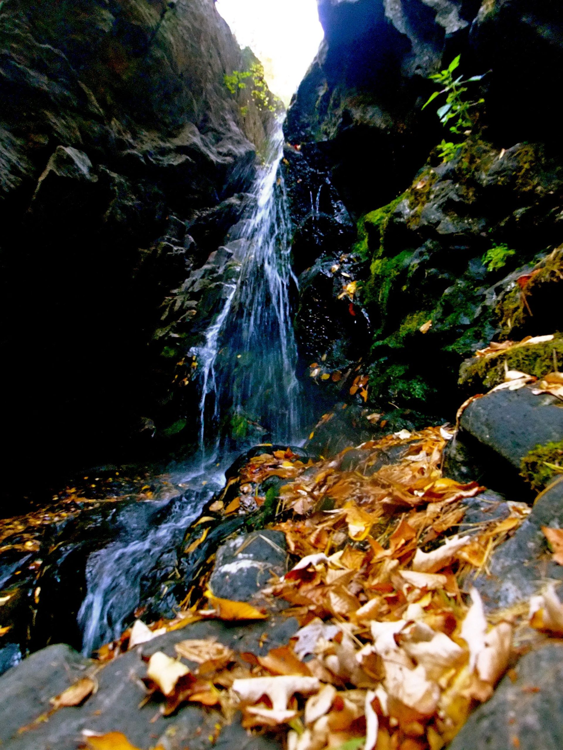Waterfall And Leaves (user submitted)