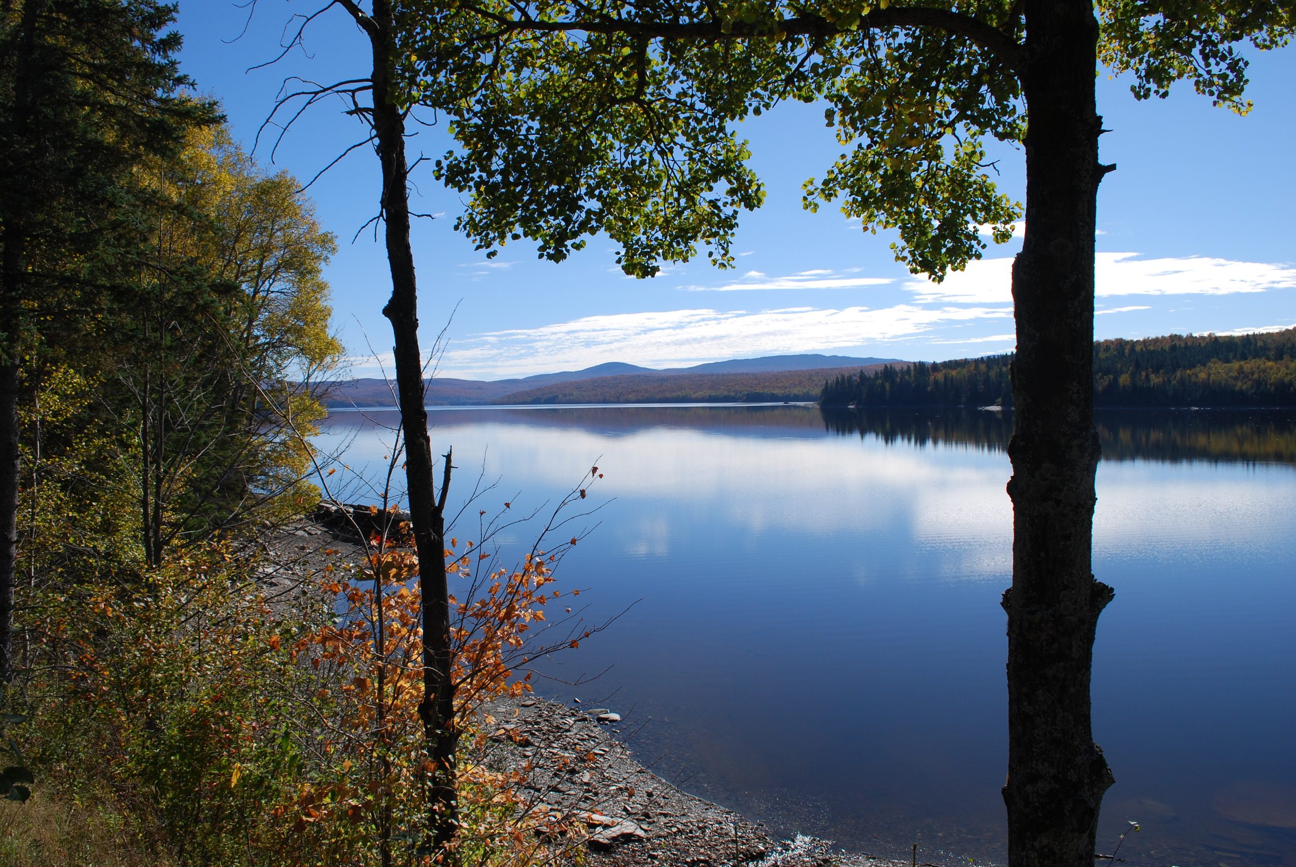 Beautiful Lake Francis New England