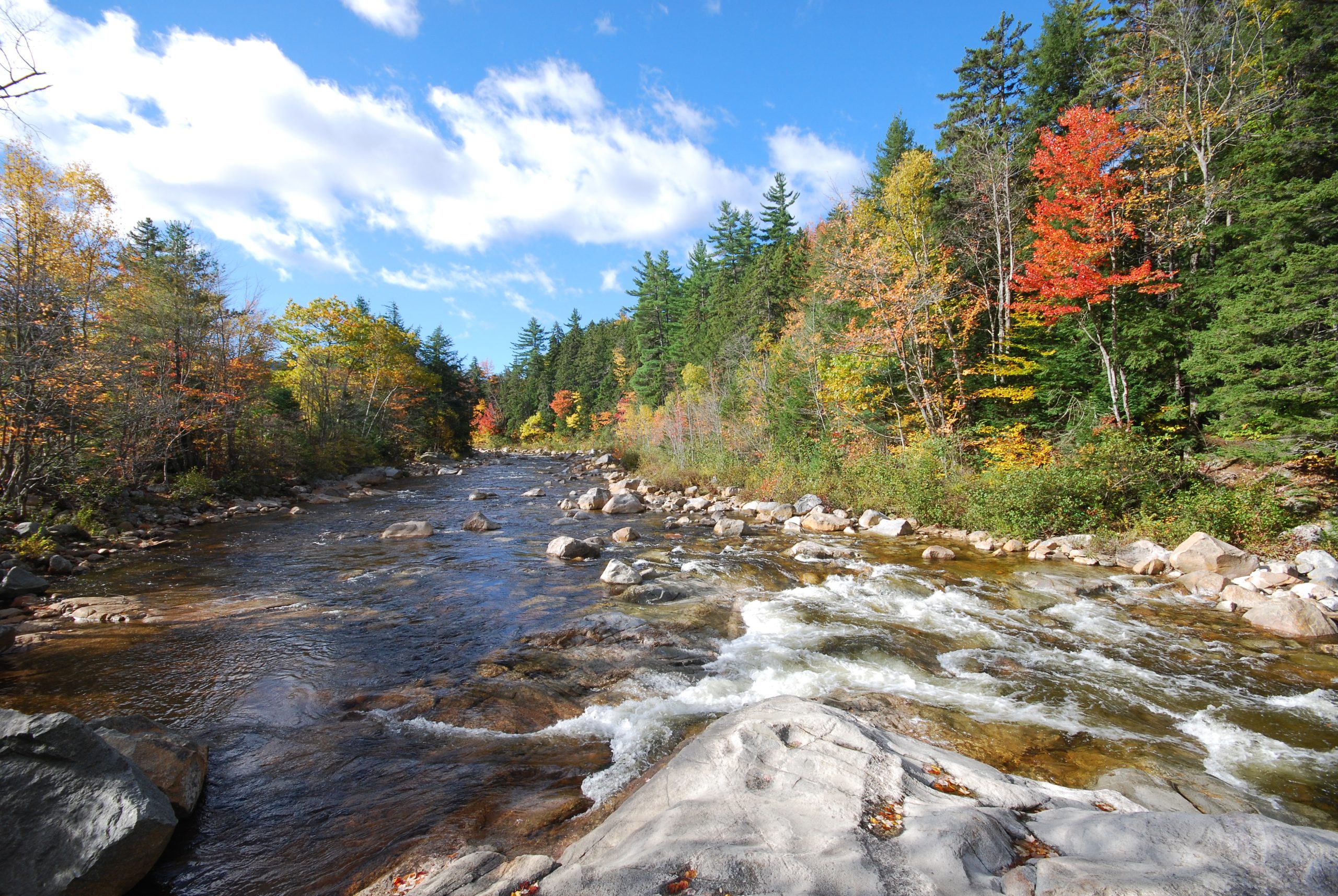 Fall In The Swift River (user submitted)