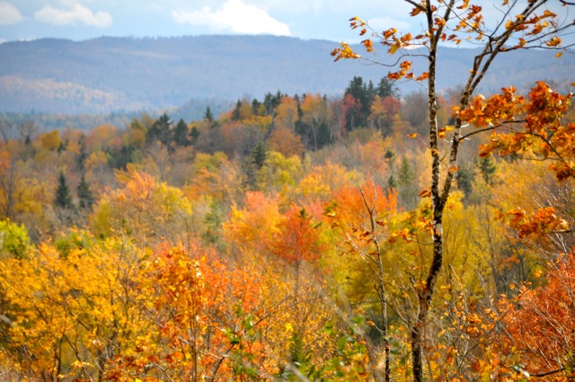 Fall Day In Maine (user submitted)