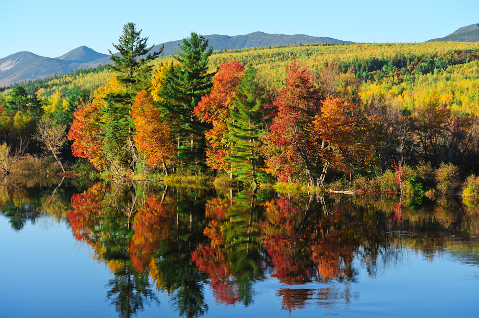 Maine Autumn (user submitted)
