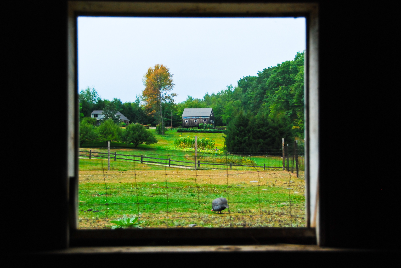 The Barn Window (user submitted)