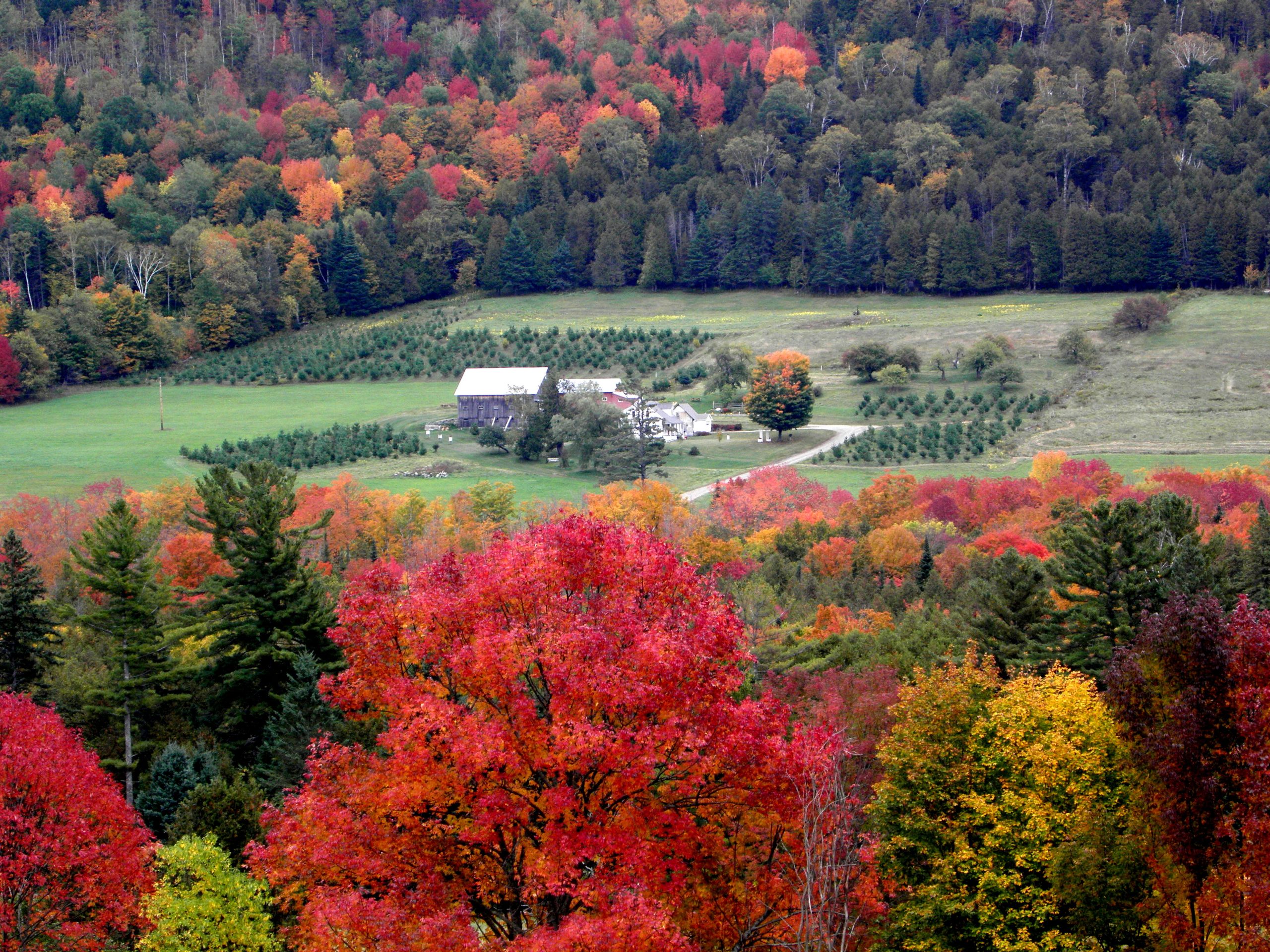 Vermont Farm Land (user submitted)