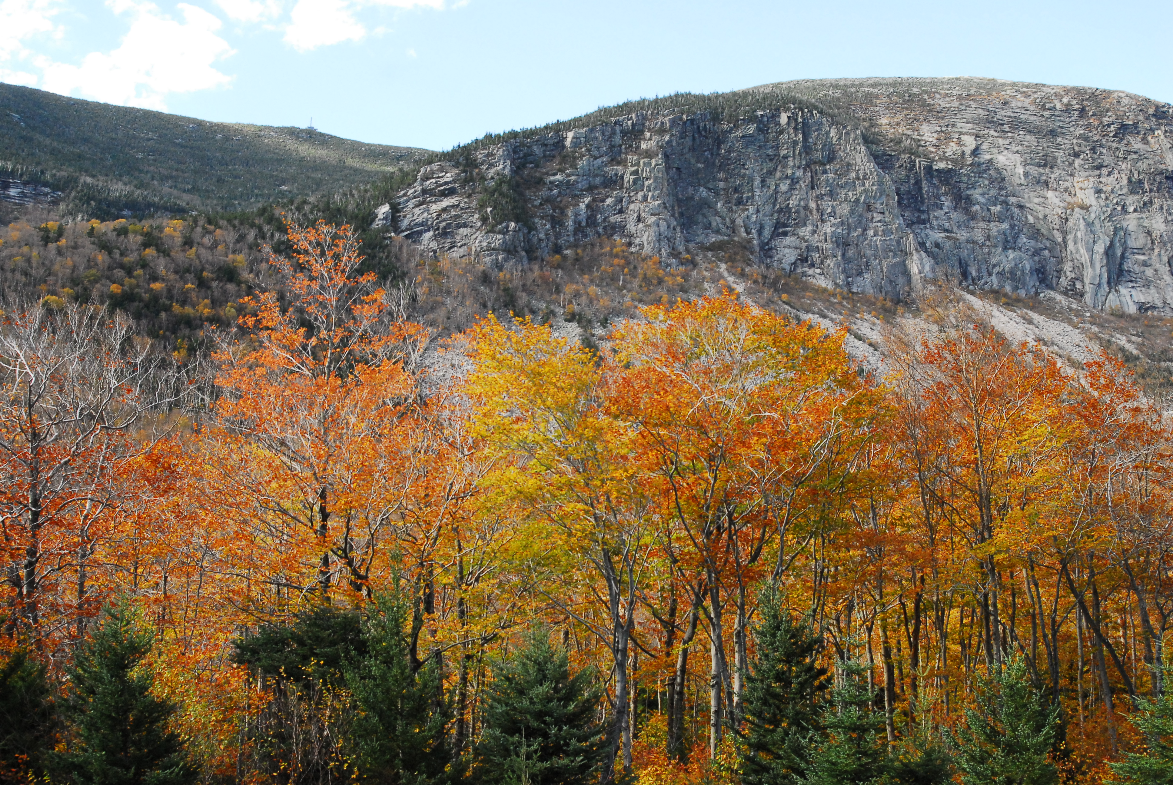 Fall In Love New England Today