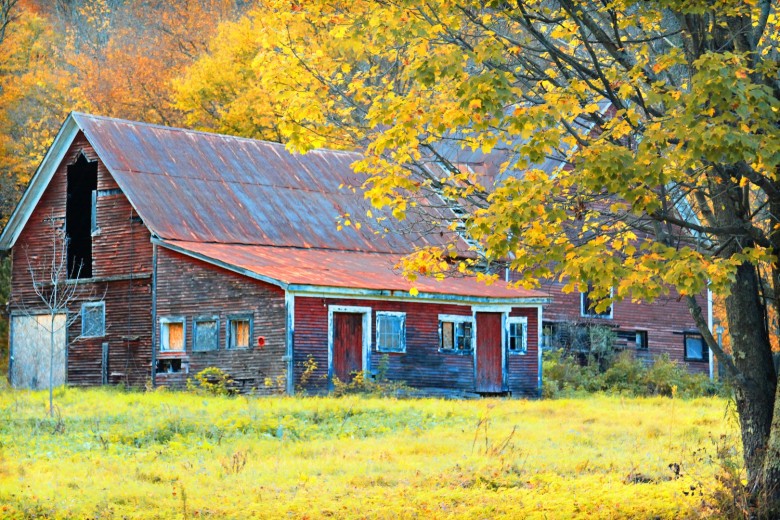 Rustic Red Barn In S. Duxbury, Vermont.