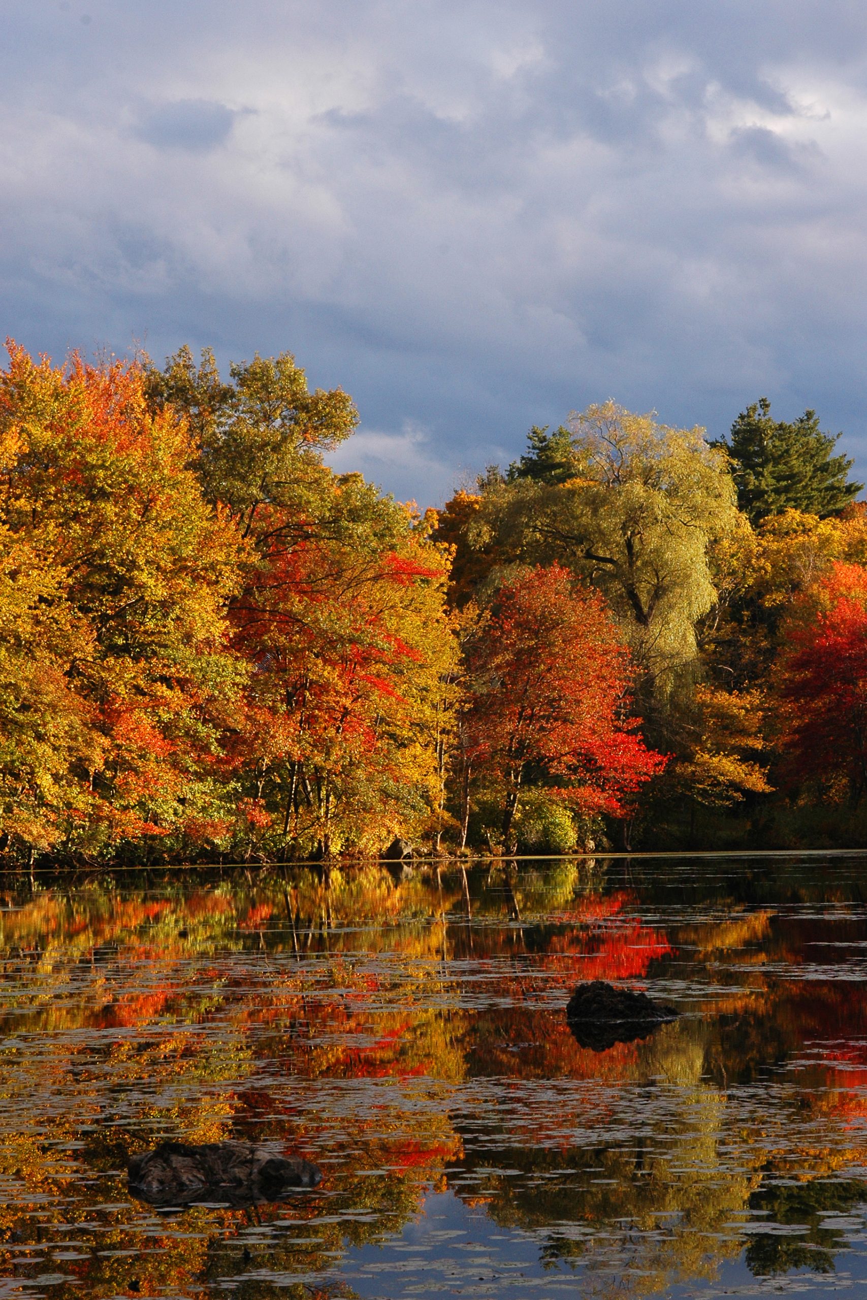 Fall Foliage Reflection (user submitted)