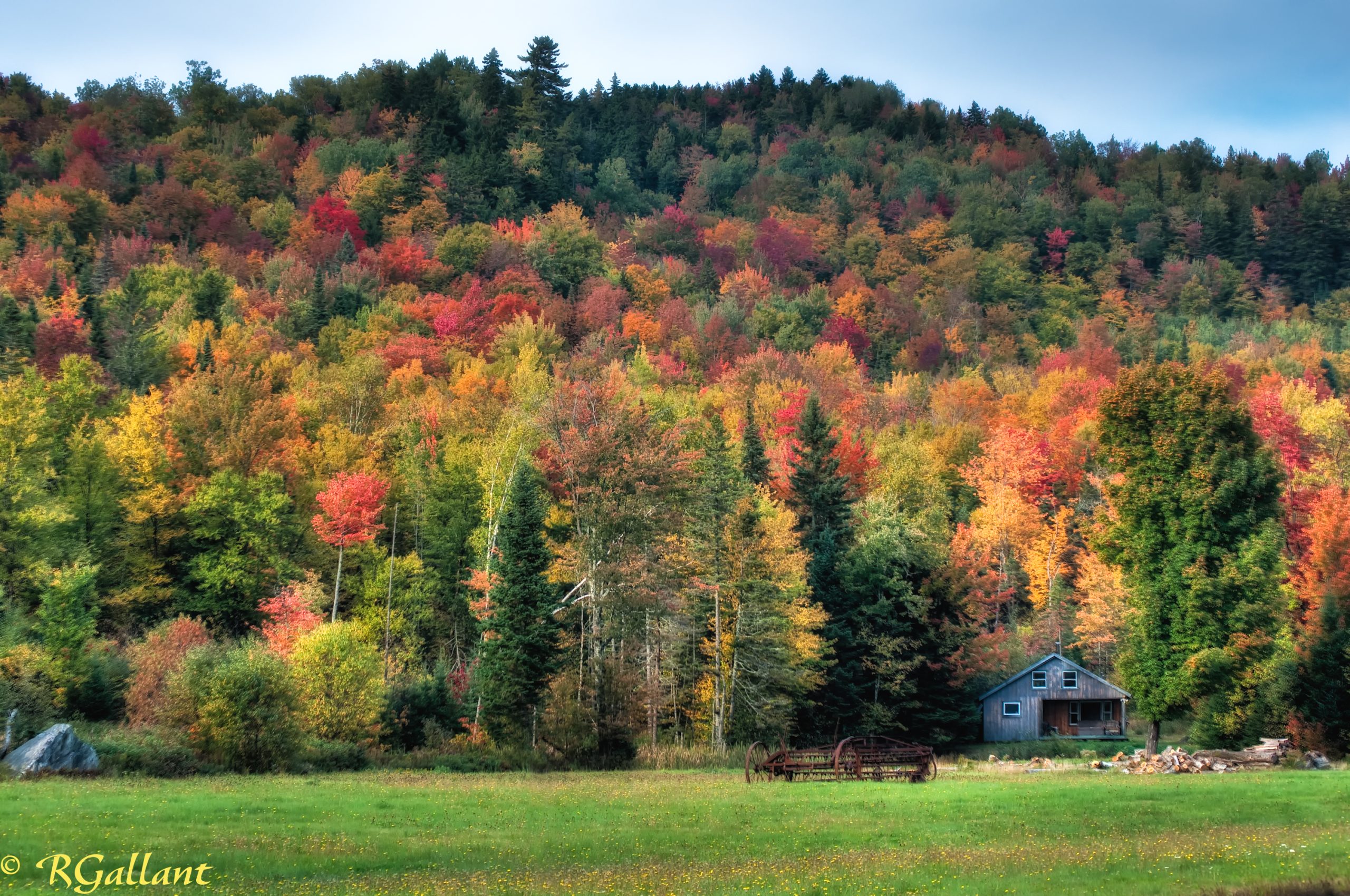 Foliage, Crawford Notch, Nh (user submitted)