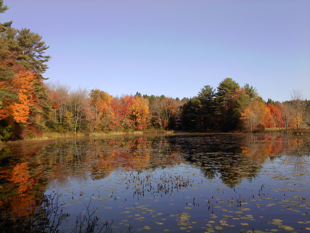 Clark Pond 2 - New England Today