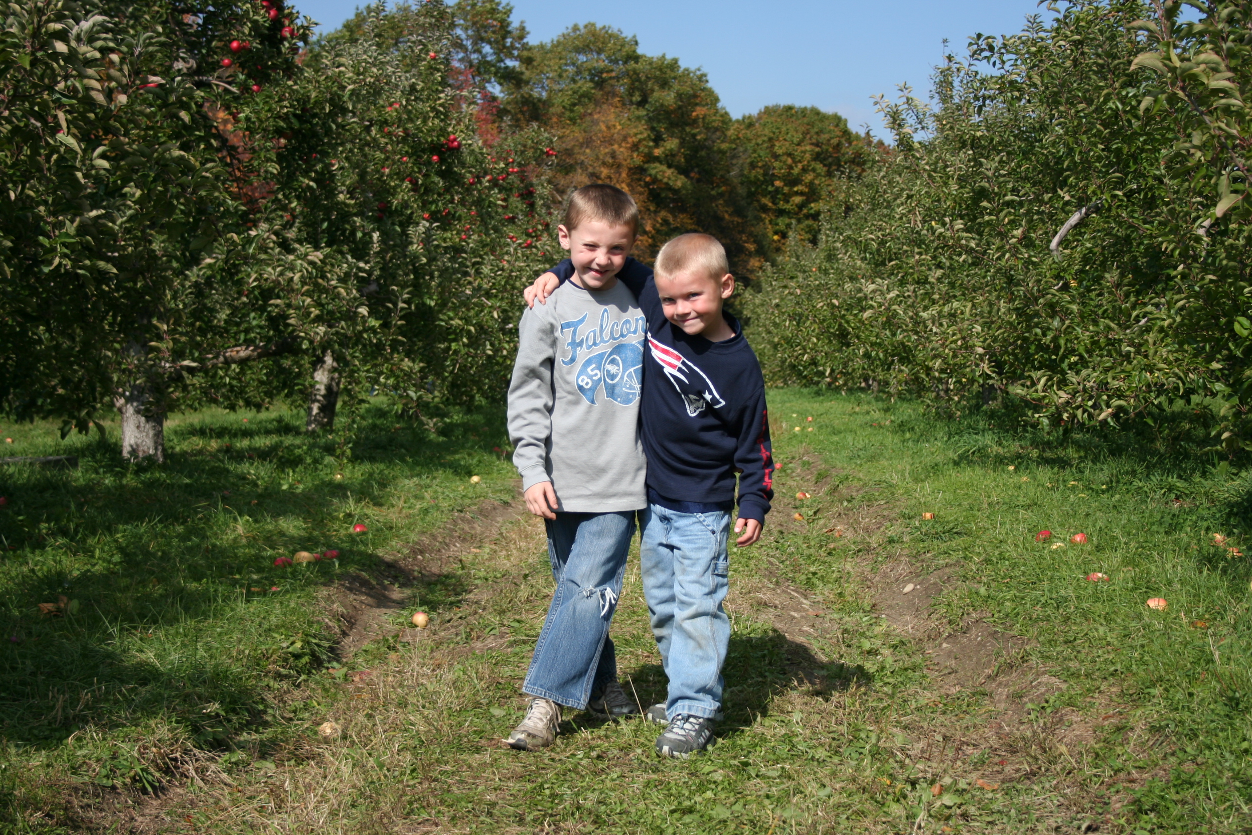 Brothers Apple Picking (user submitted)