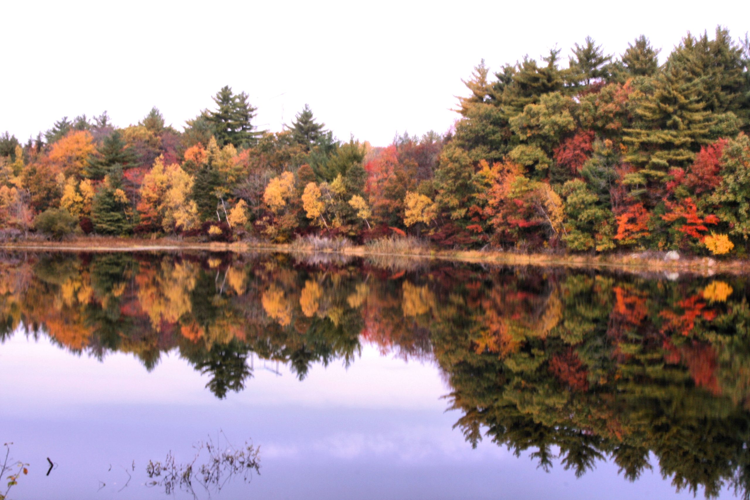 Reflection Of Fall (user submitted)