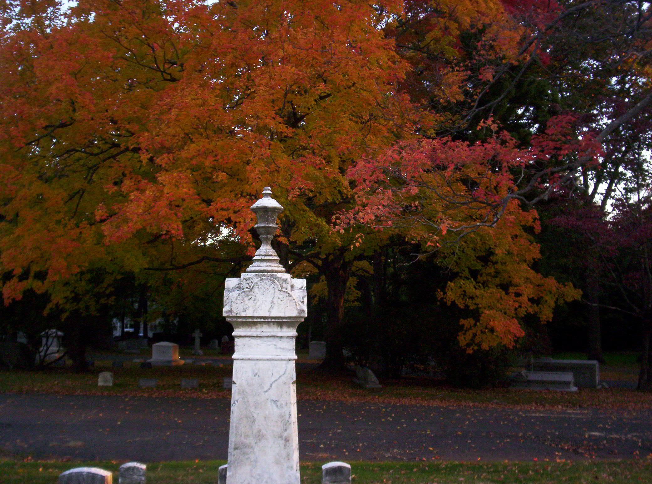 Tall Headstone And Red Leaves (user submitted)