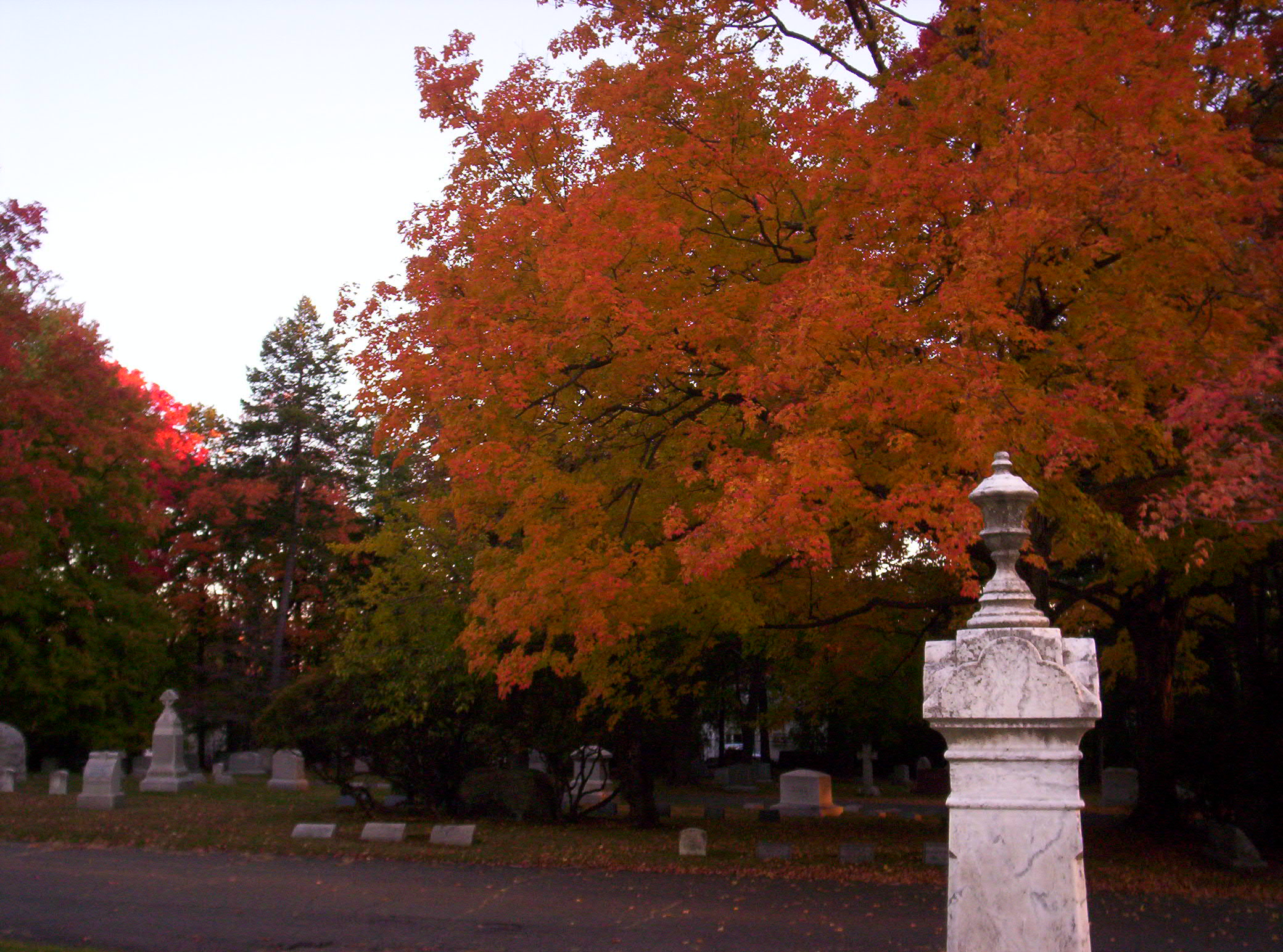 Red Leaves And Tall Headstone (user submitted)