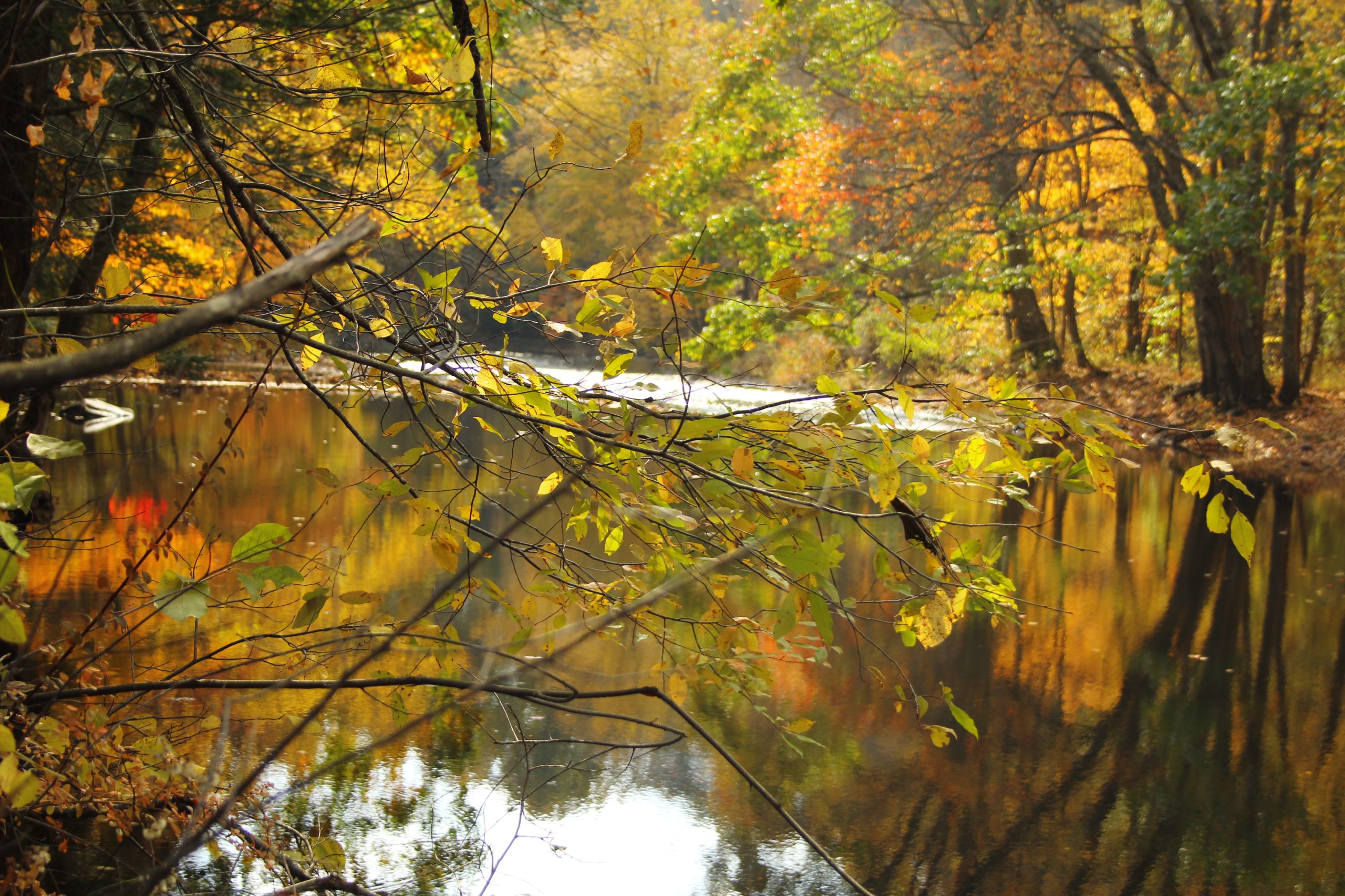 The Willimantic River (user submitted)