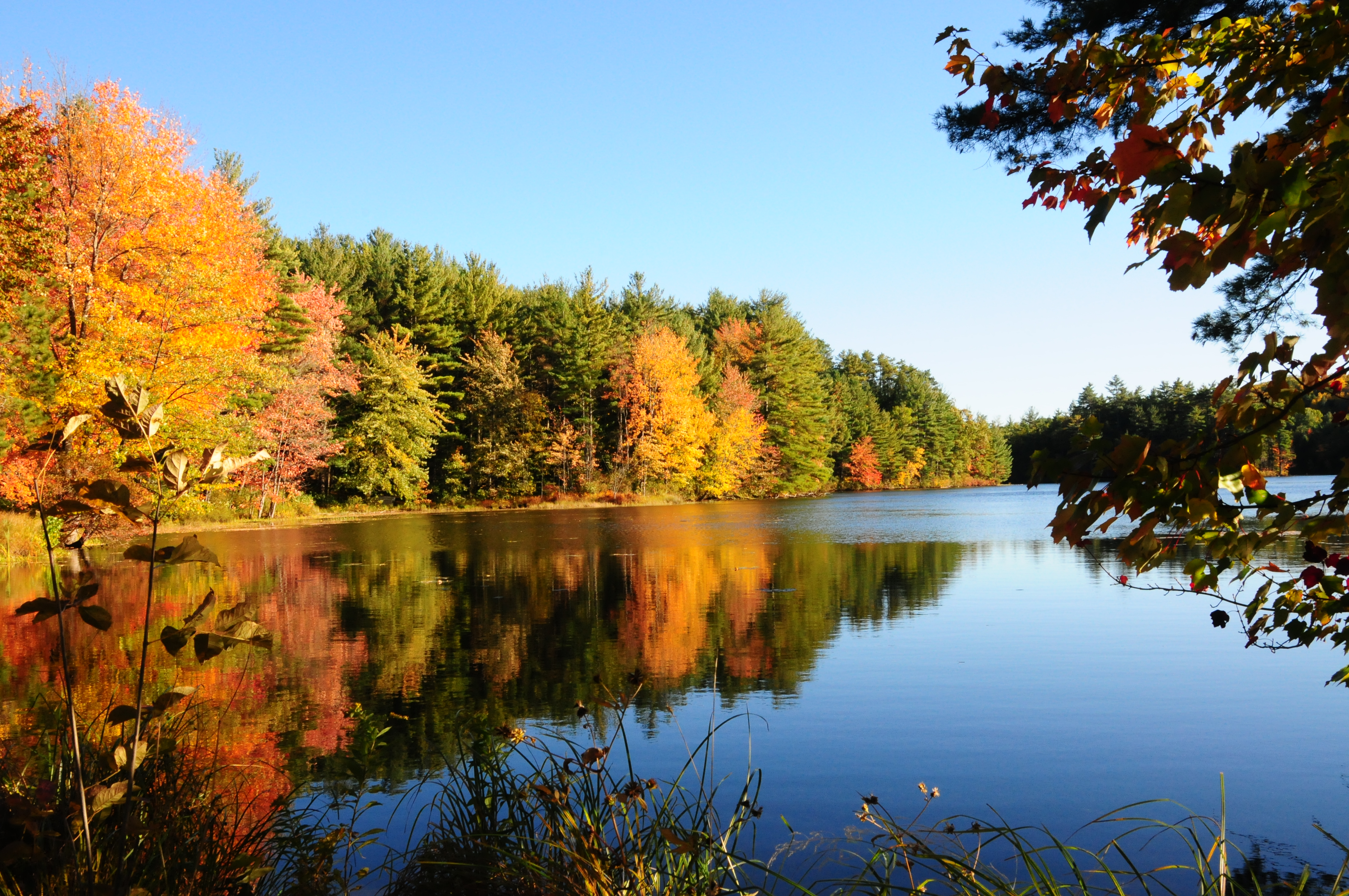 South Of Washington, New Hampshire - New England Today