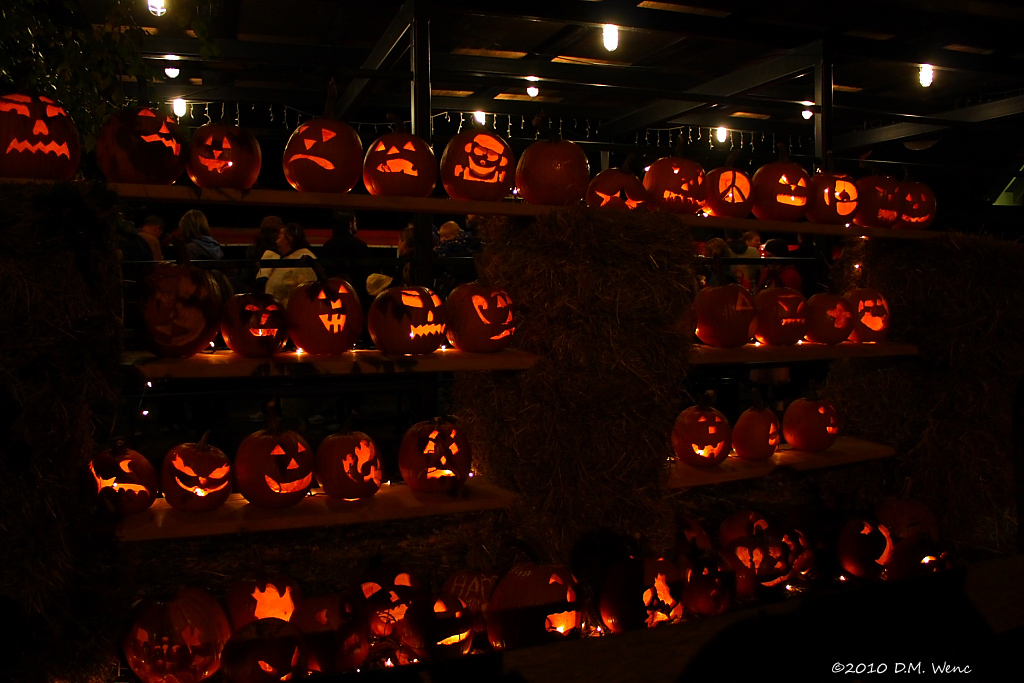 Great Pumpkin Fest (user submitted)