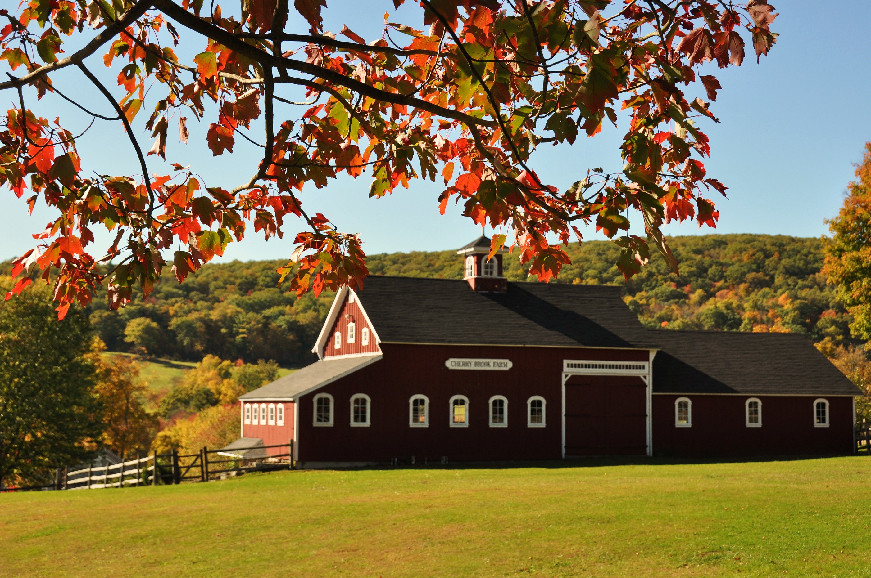 Cherry Brook Farm New England Today