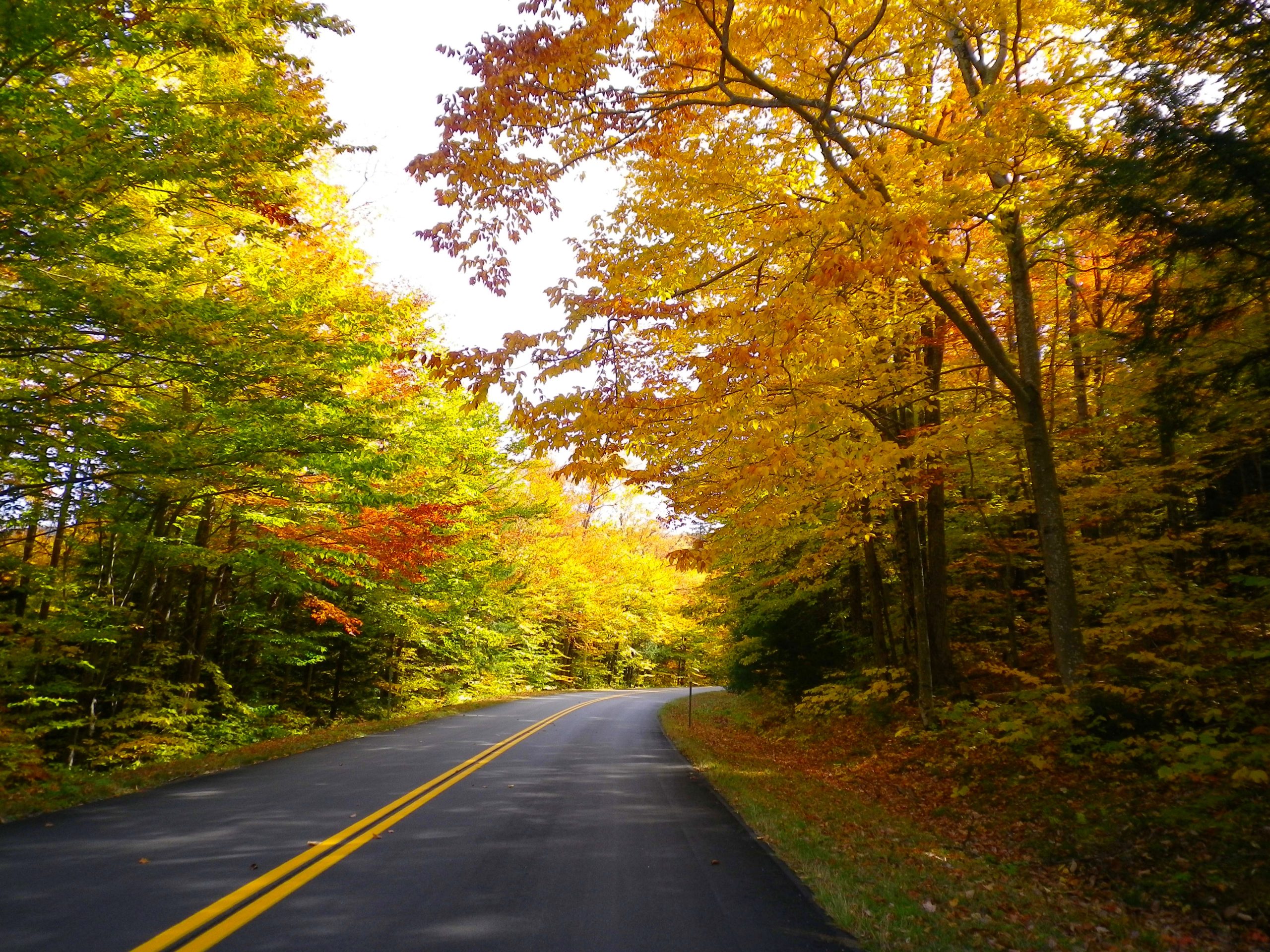 Bear Notch Road (user submitted)