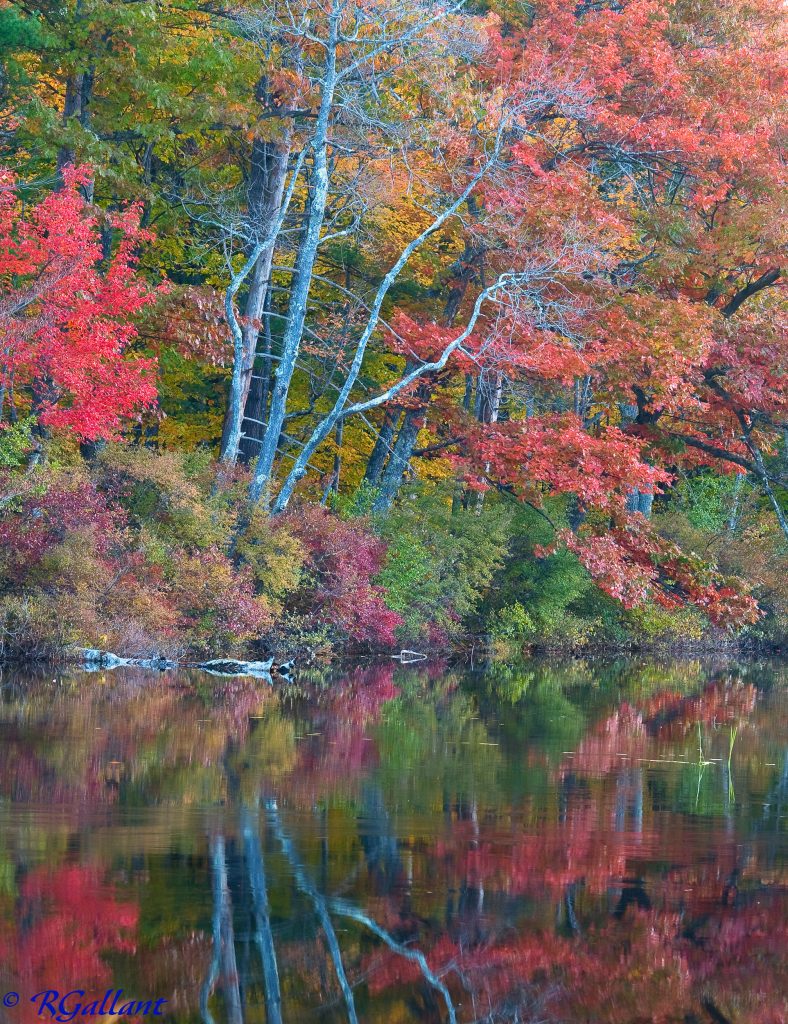 Chocorua Lake - New England