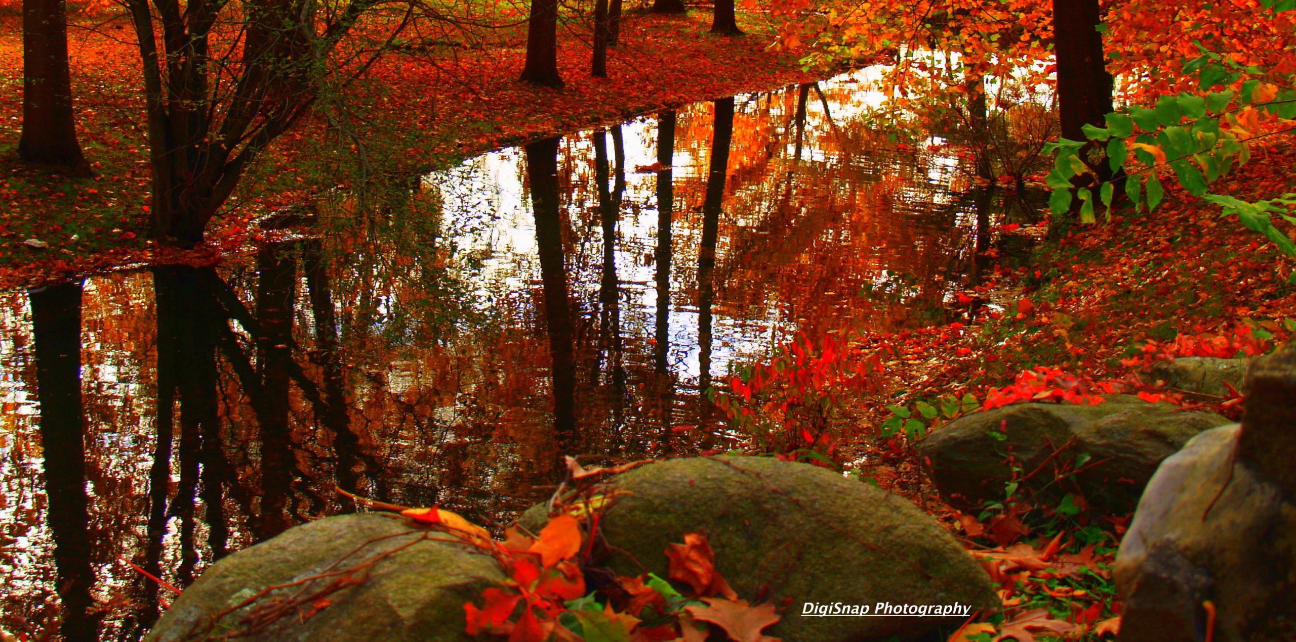 Fall At Roger Williams Park In Ri. (user submitted)