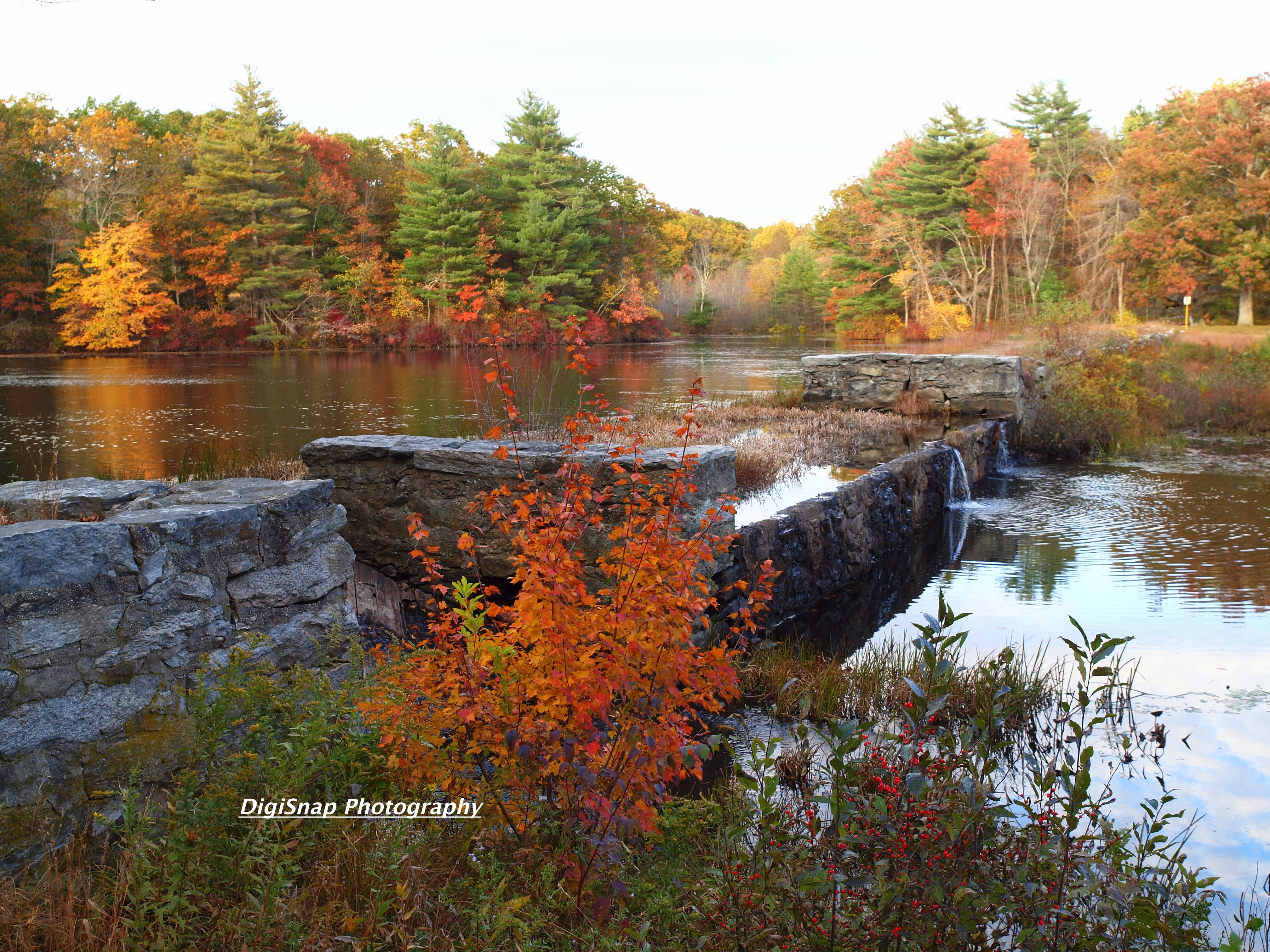 Fall In Northbridge, Massachusetts - New England Today