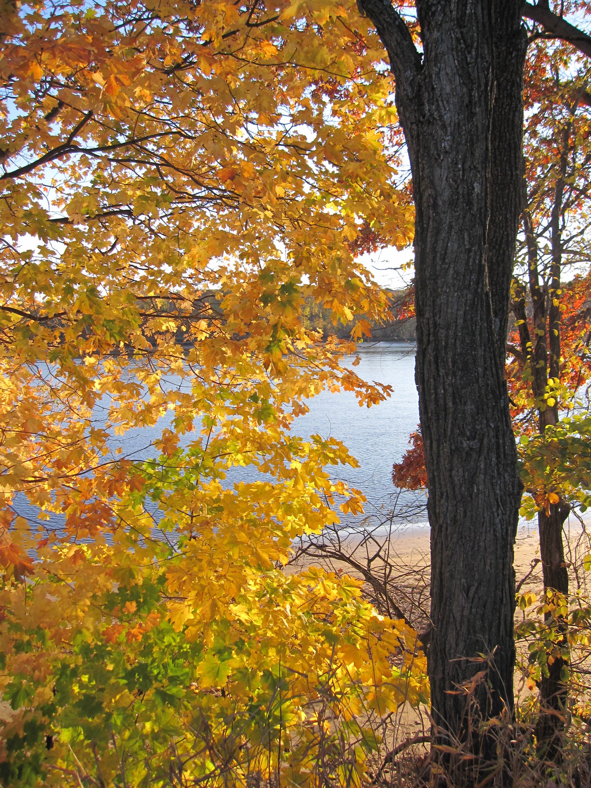 Fall On The Merrimack River (user submitted)