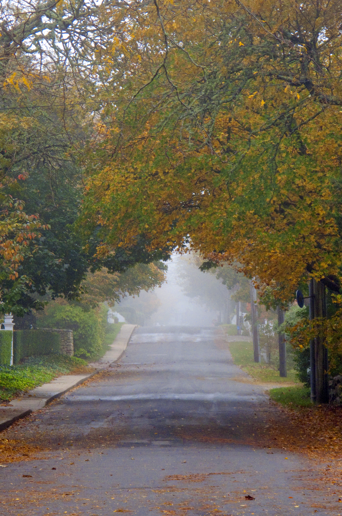 Misty Street (user submitted)