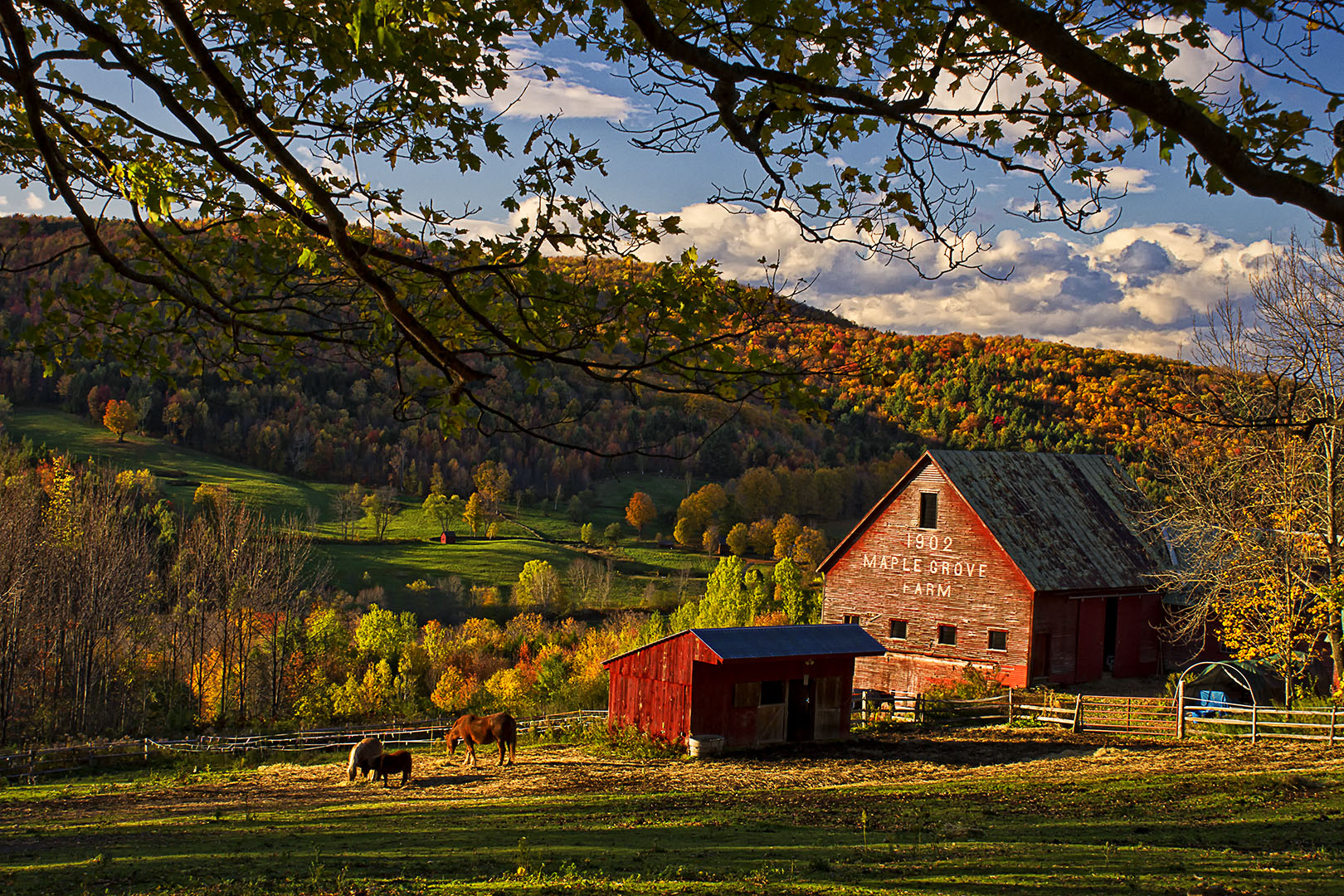 Sunset At Maple Grove Farm In E. Barnard, Vermont New England Today