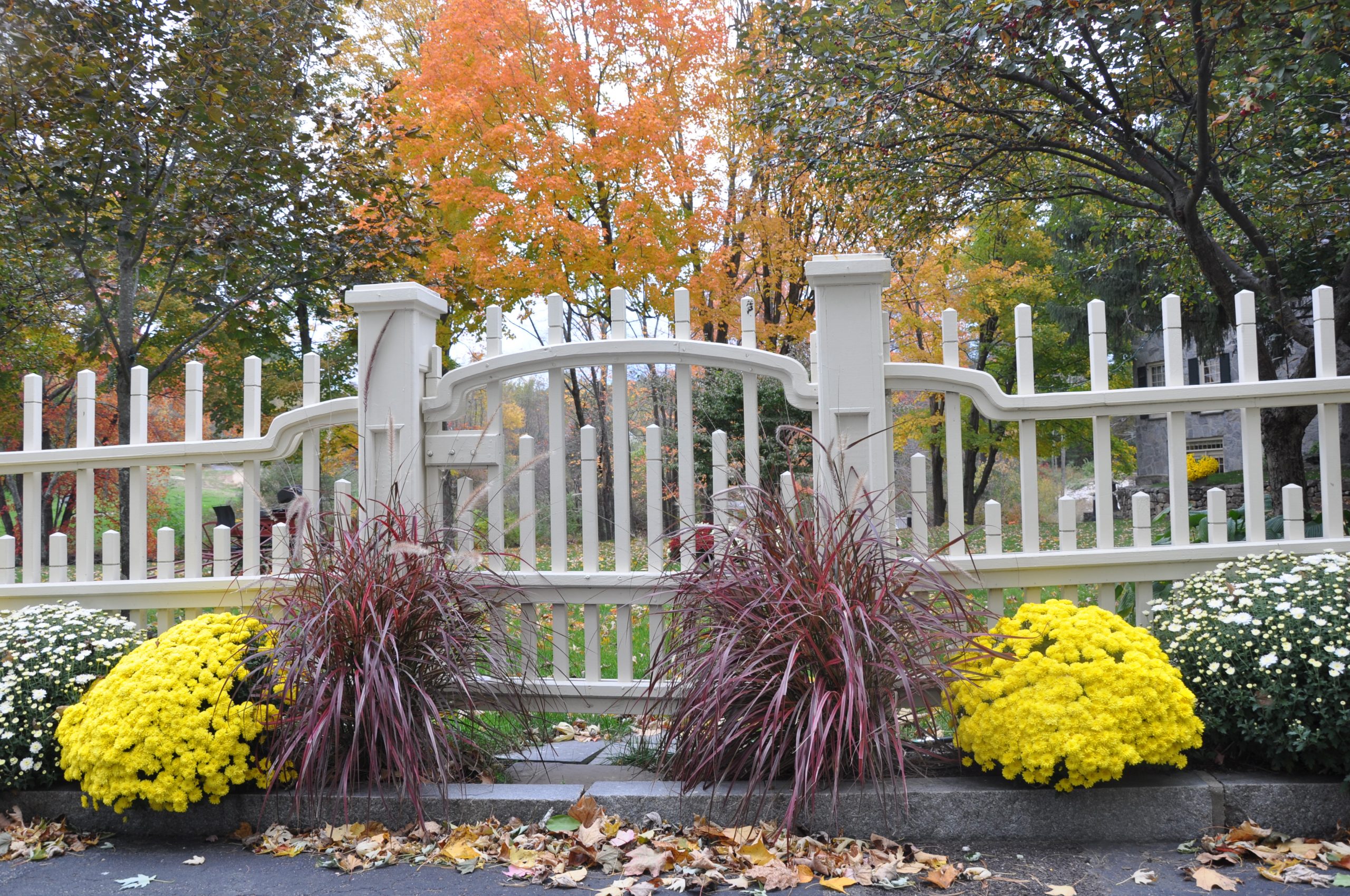 White Fence, Flowers, Trees In The Fall (user submitted)