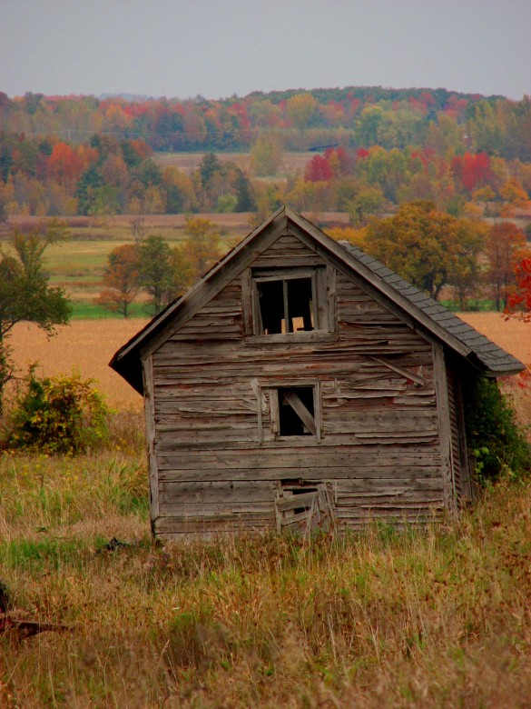 Old Barn In Addison, Vermont.