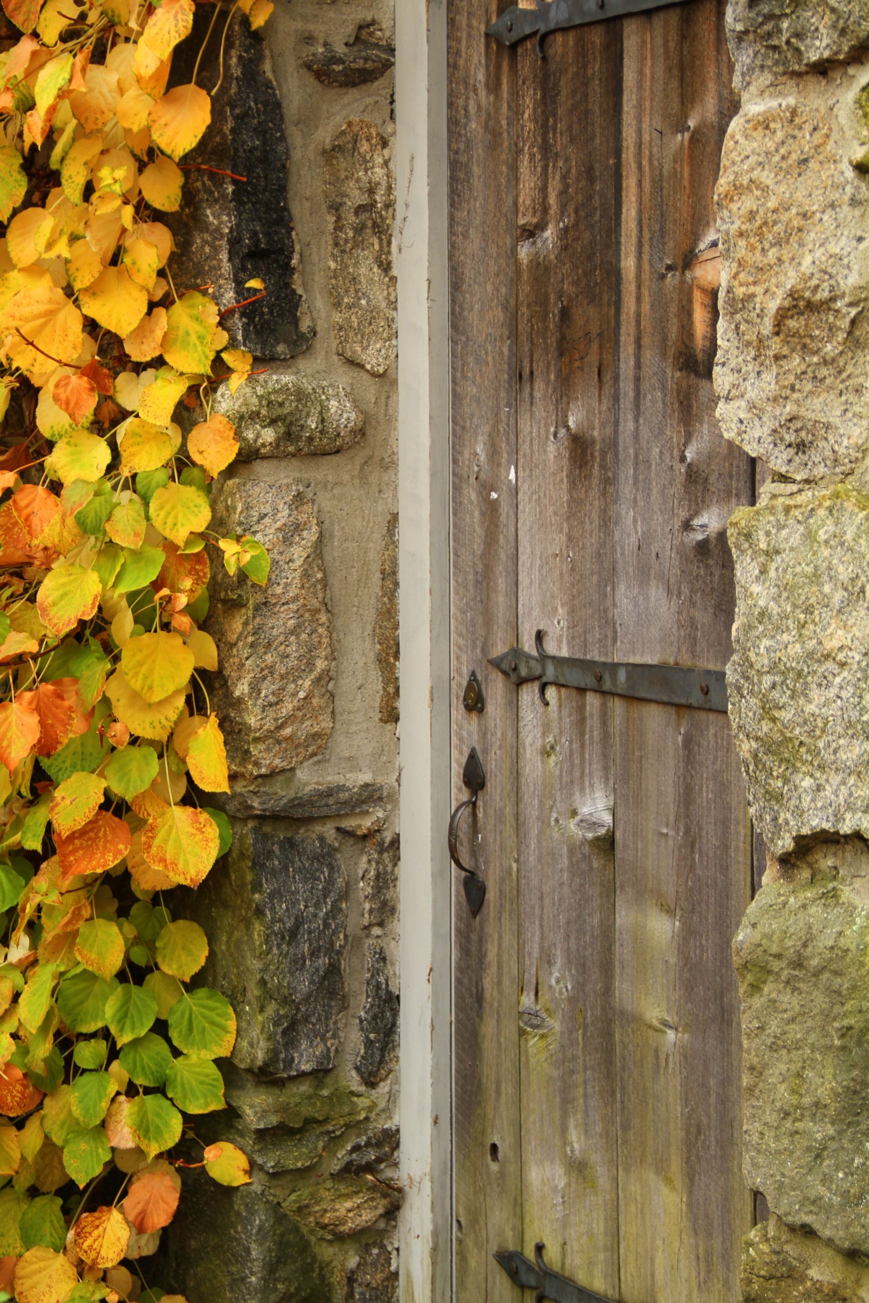 Secret Hideaway - New England