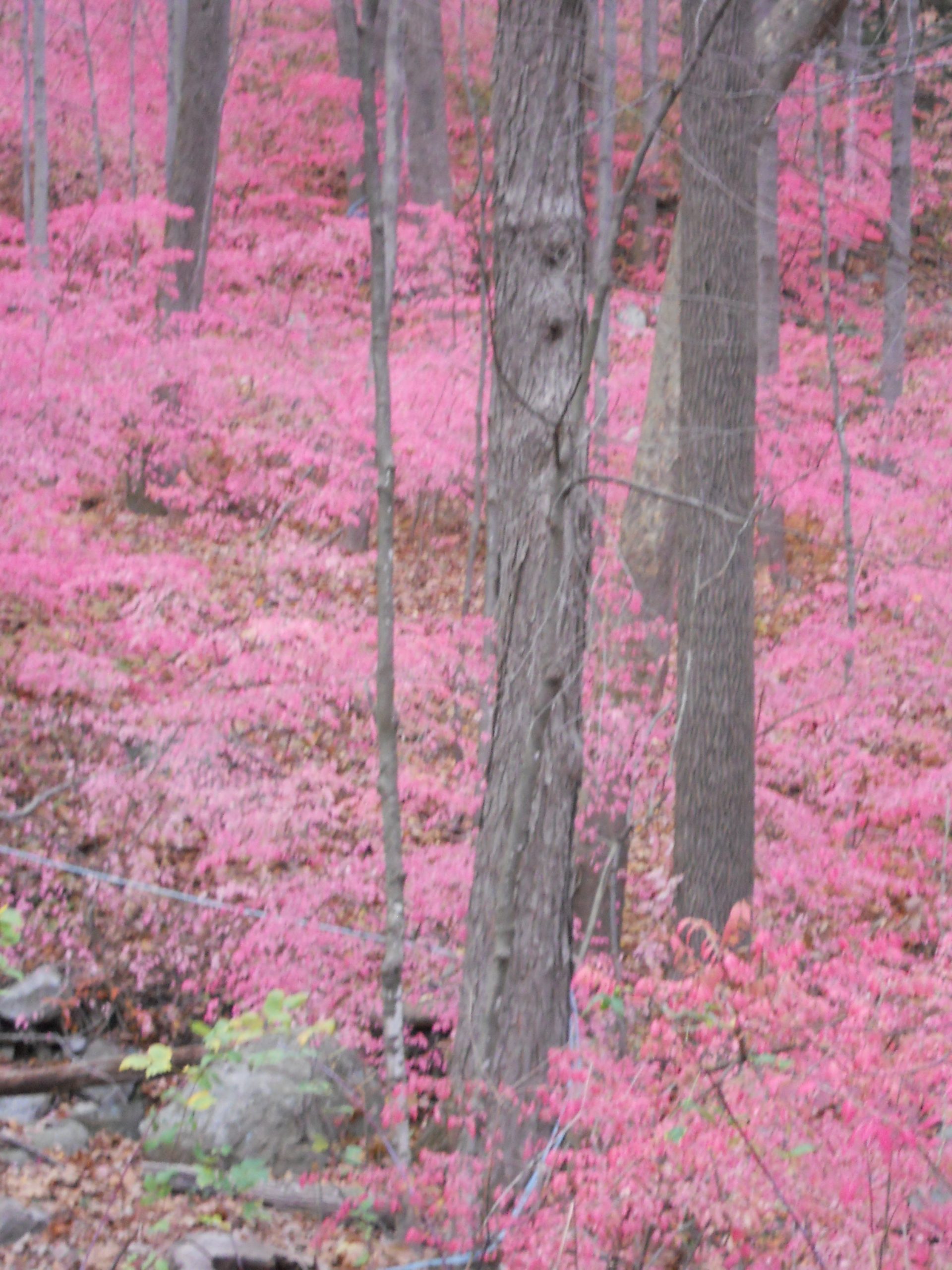 along-the-way-new-england-today