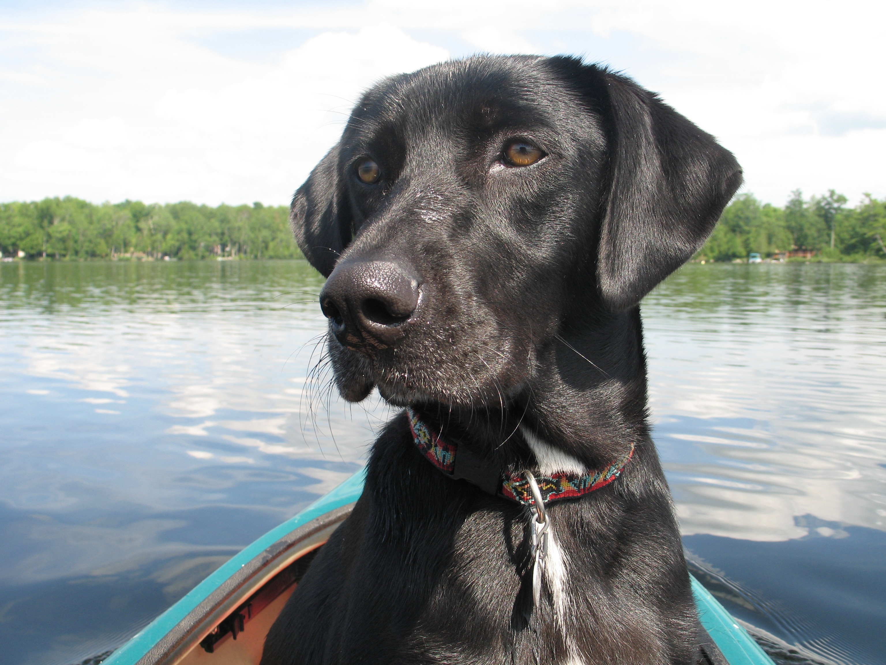 Cruising On Pleasant Lake, Stetson, Me New England Today