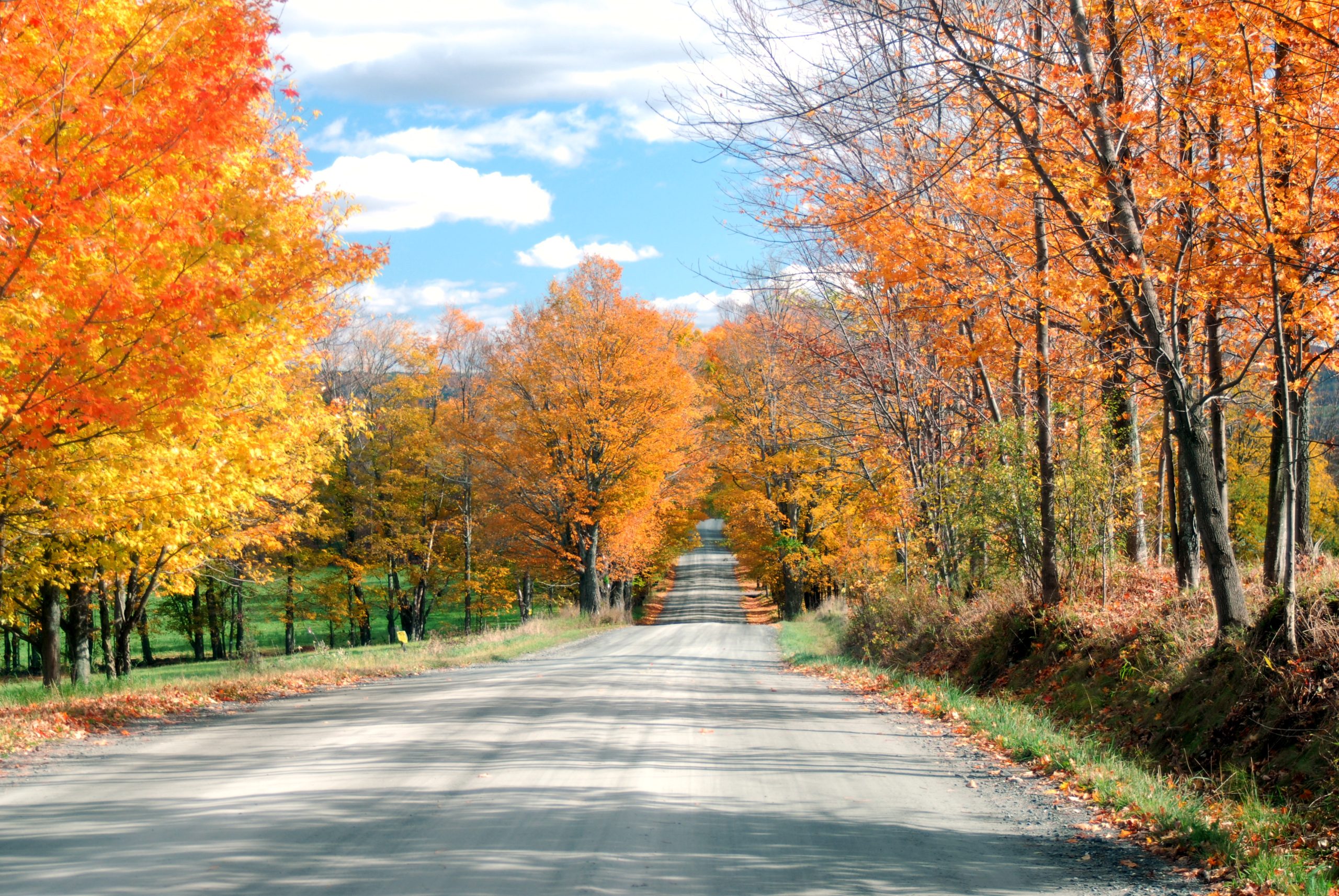 Country Road In Fall (user submitted)