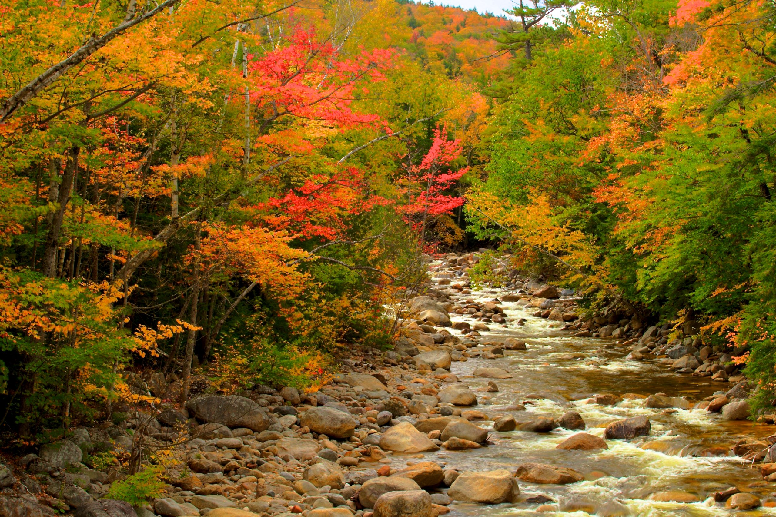 River Runs Through Fall Colors (user submitted)