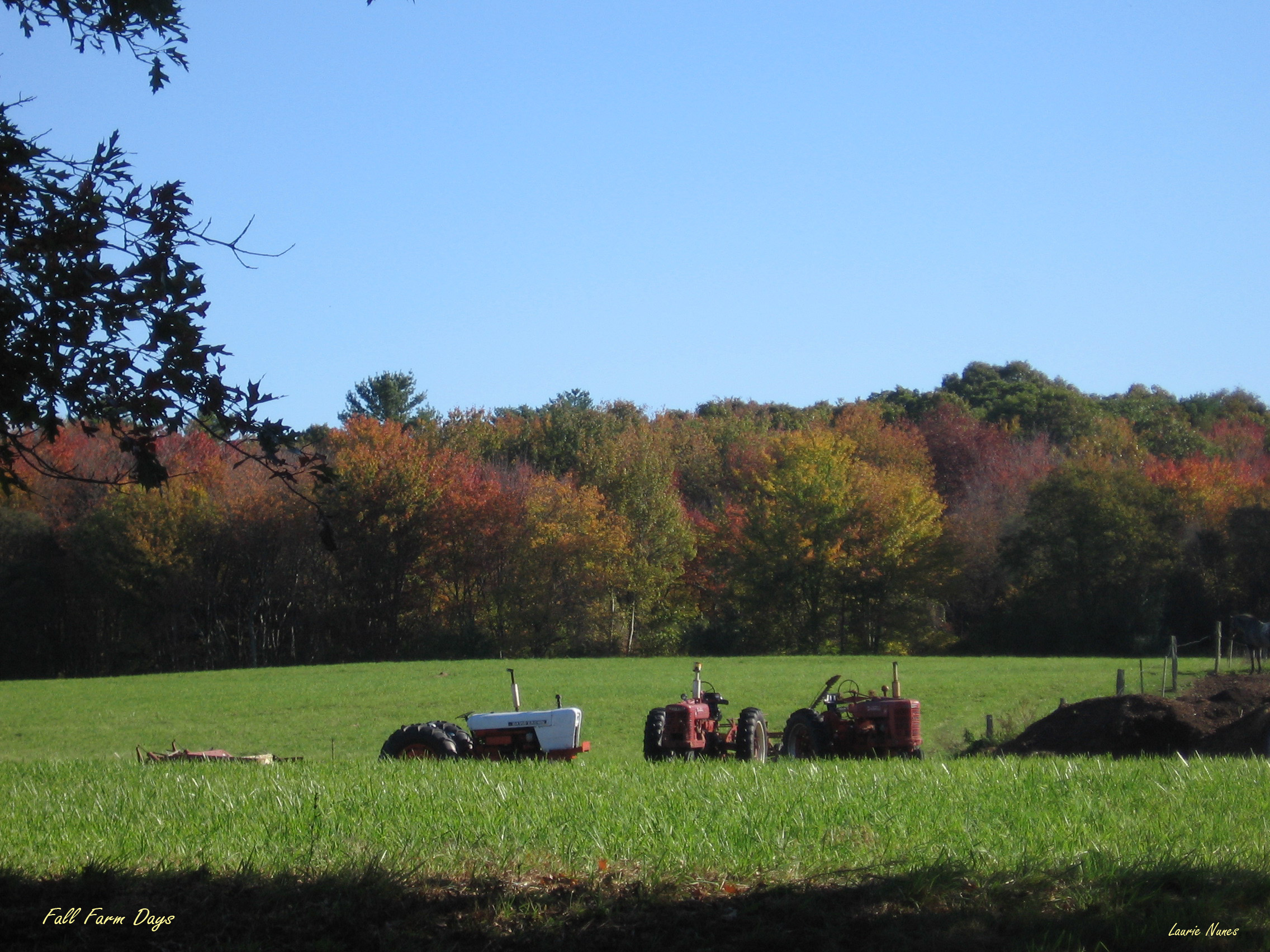 Fall Farm Days (user submitted)