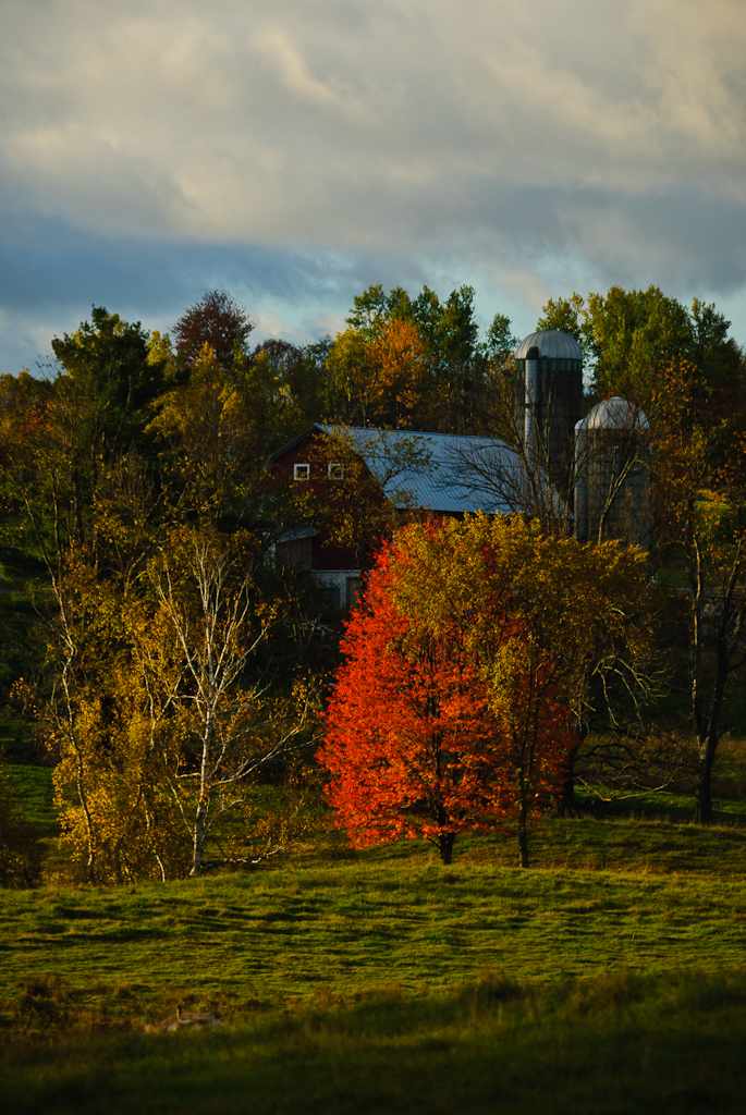 Barn And Foliage (user submitted)