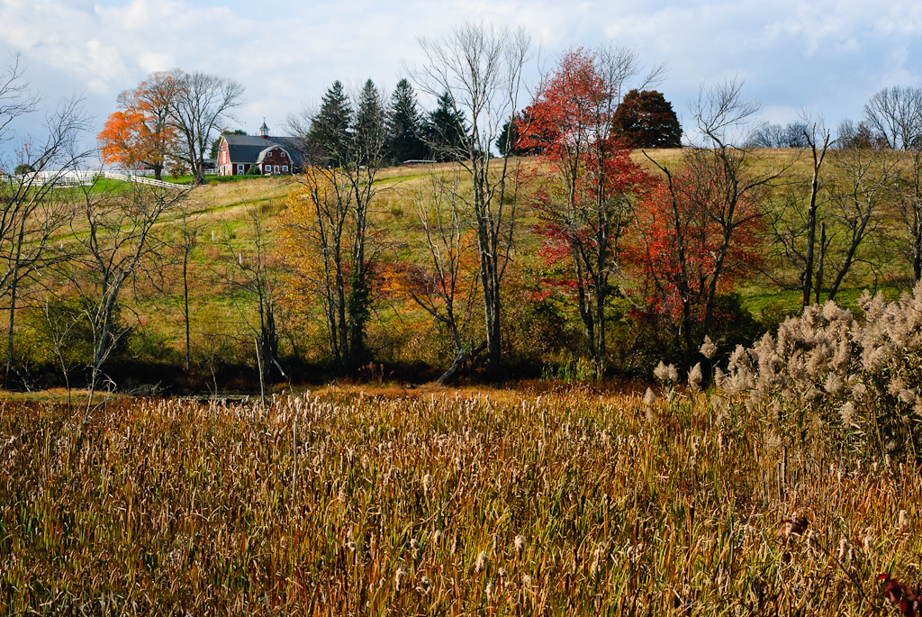 Farm In Late Fall (user submitted)